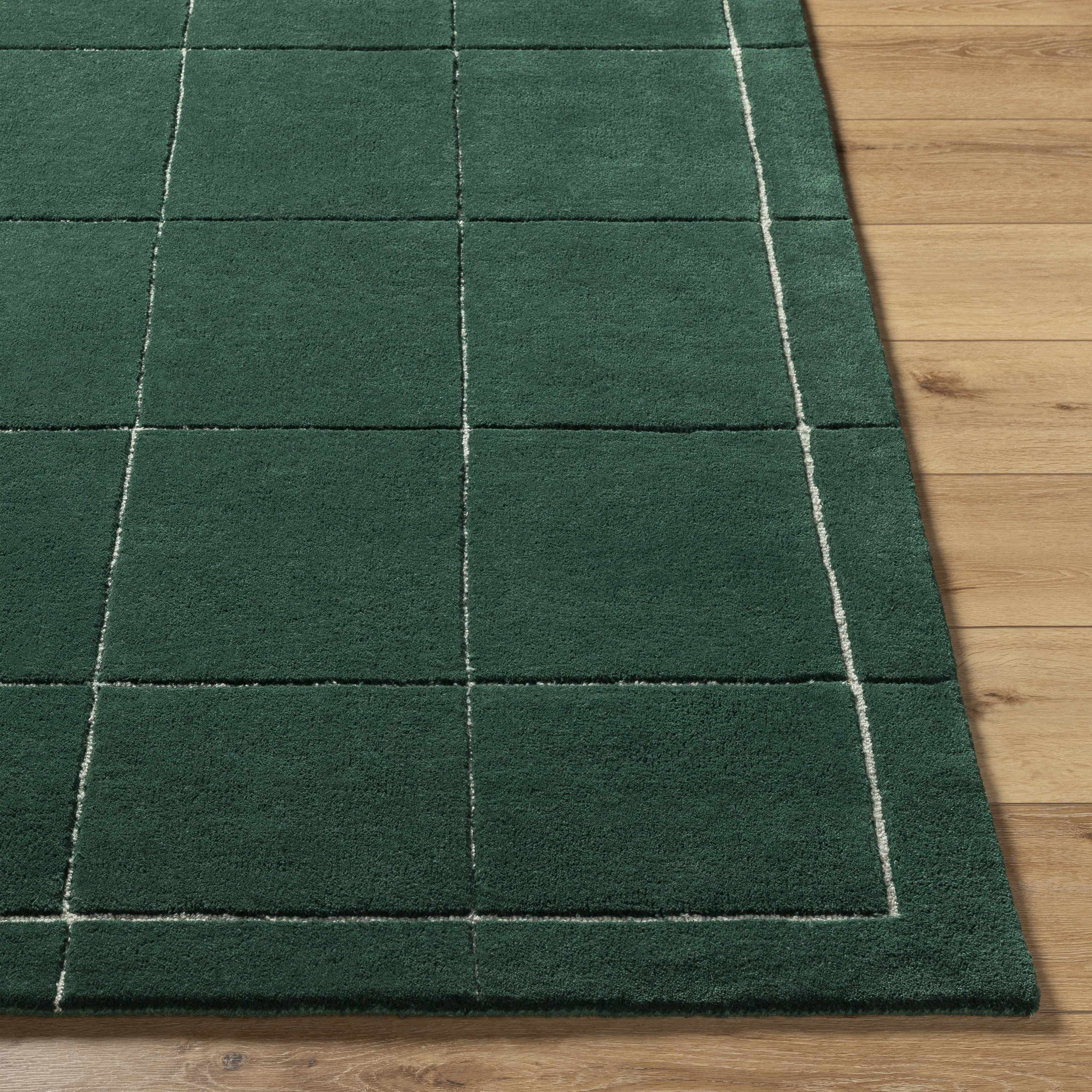 Siarl Checkered Wool Area Rug in Green