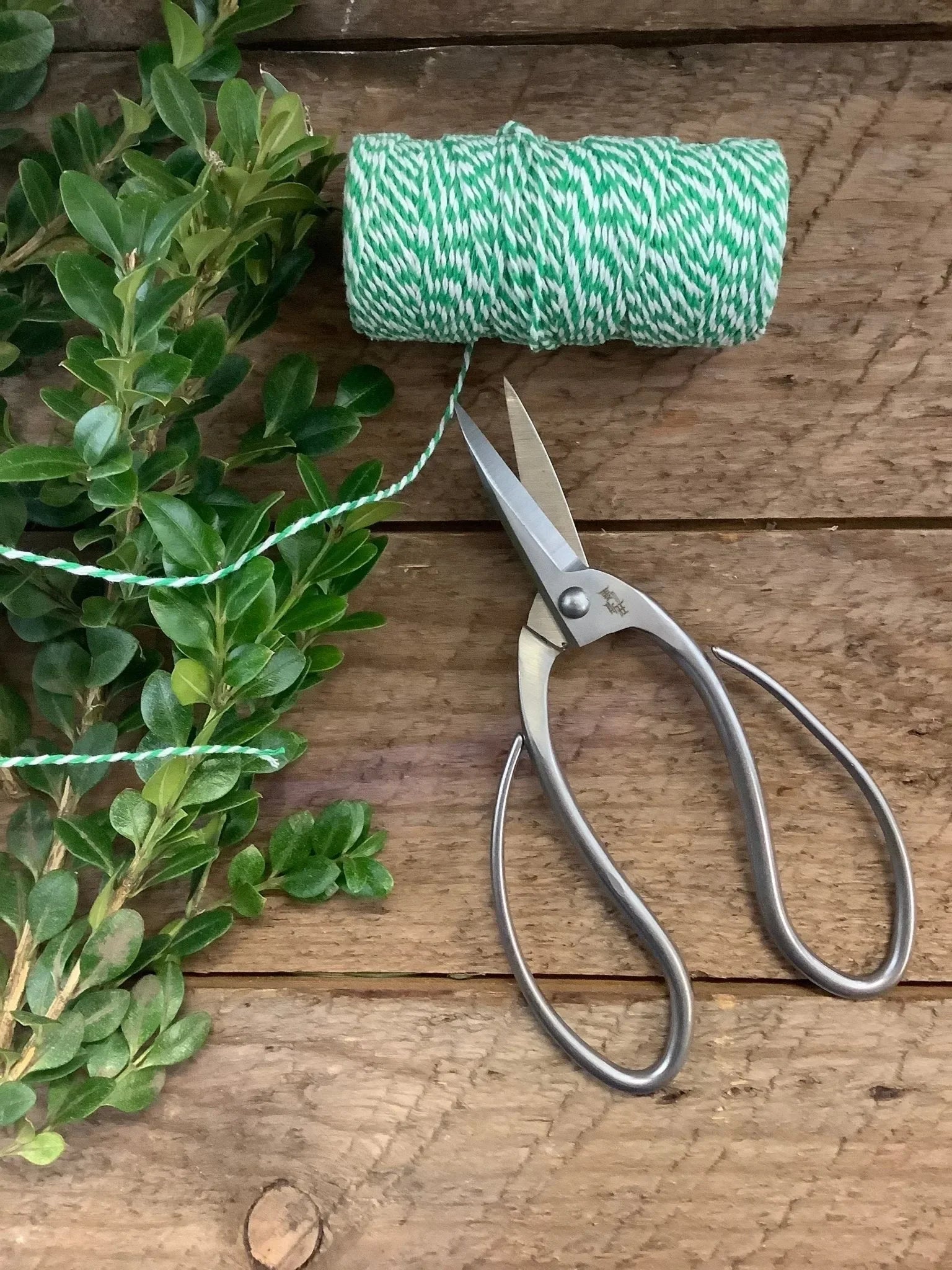 Stainless Garden Scissors (Pruning Shears/Pruners/Secateurs/Clippers) - The Mayfair Hall