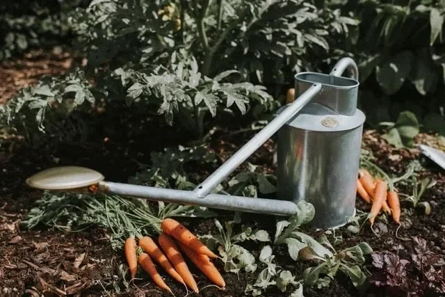 The Warley Fall - Two Gallon HDG in Galvanized - The Mayfair Hall