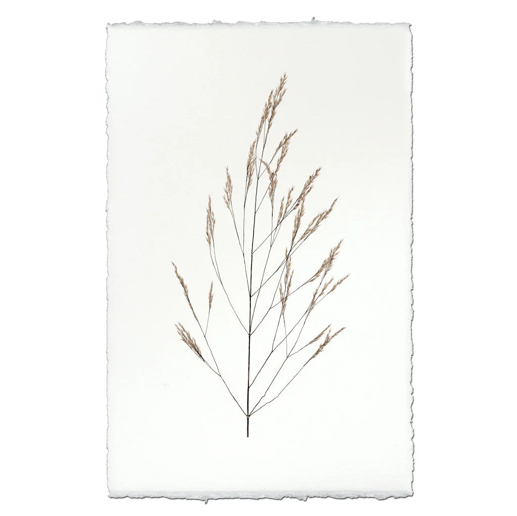 Wheat Form - The Mayfair Hall