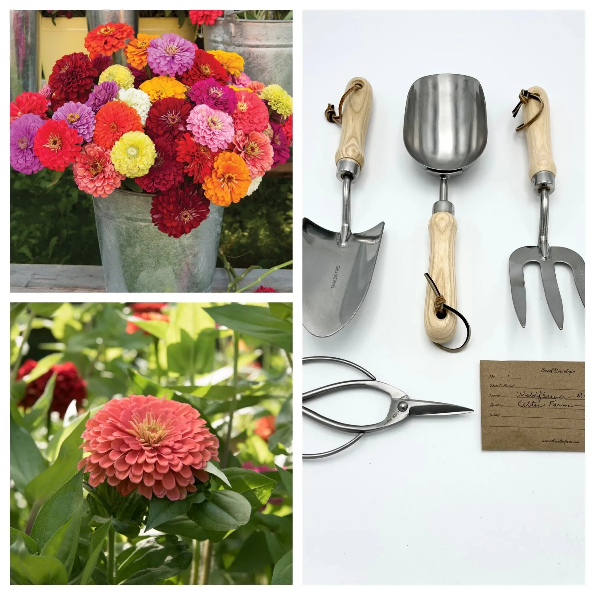 Zany for Zinnias - Our Grow Kit Gift Box with Zinnias - The Mayfair Hall