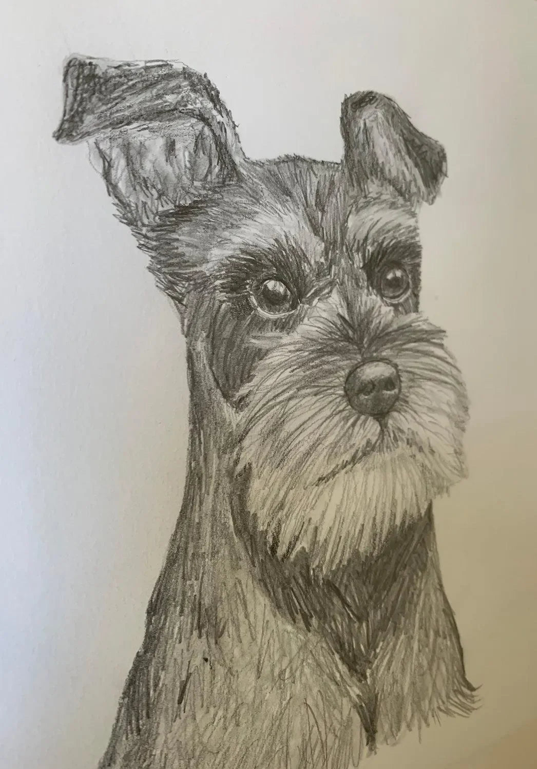 Hand Drawn Dog Sketch (Custom Order) - The Mayfair Hall