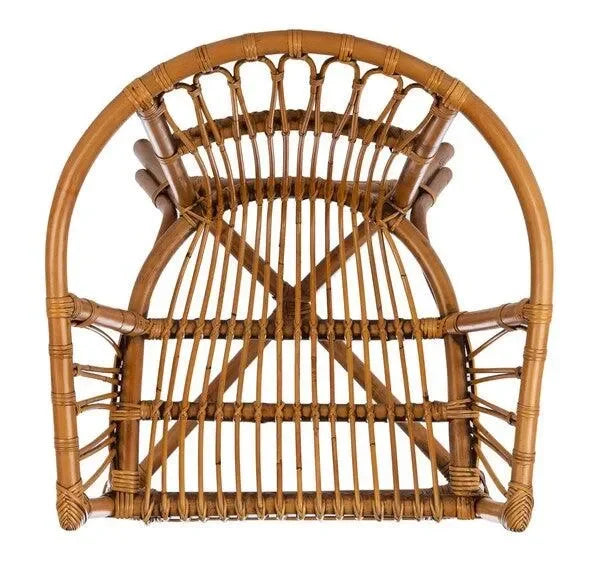 Adriana Rattan Accent Chair in Honey Brown Wash (Set of 2) - The Mayfair Hall