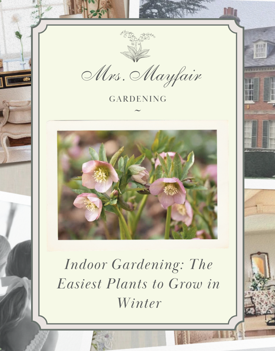 Indoor Gardening: The Easiest Plants to Grow in Winter