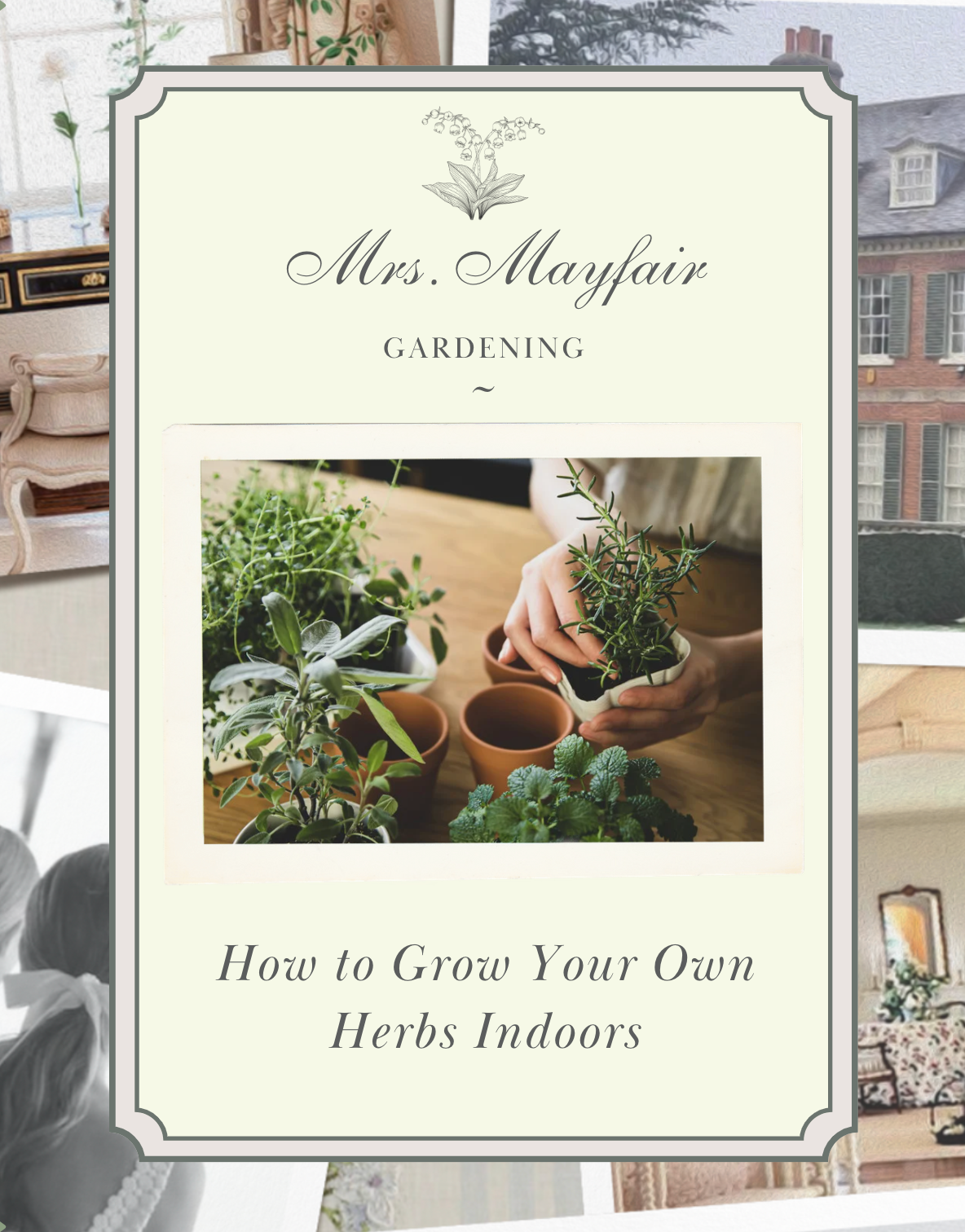 How to Grow Your Own Herbs Indoors
