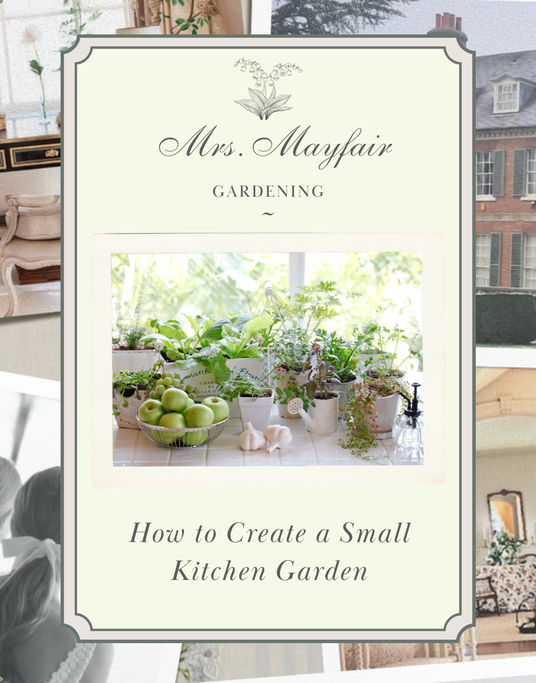 How to Create a Small Kitchen Garden