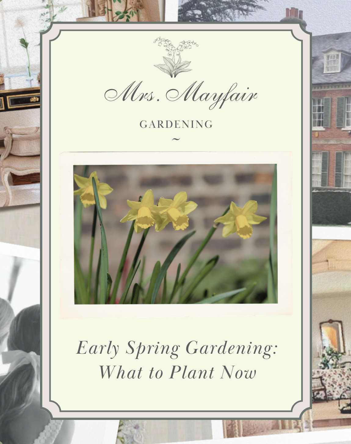Early Spring Gardening: What to Plant Now