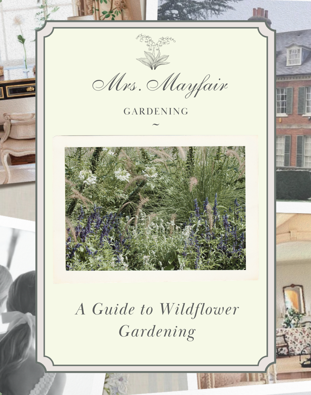 A Guide to Wildflower Gardening