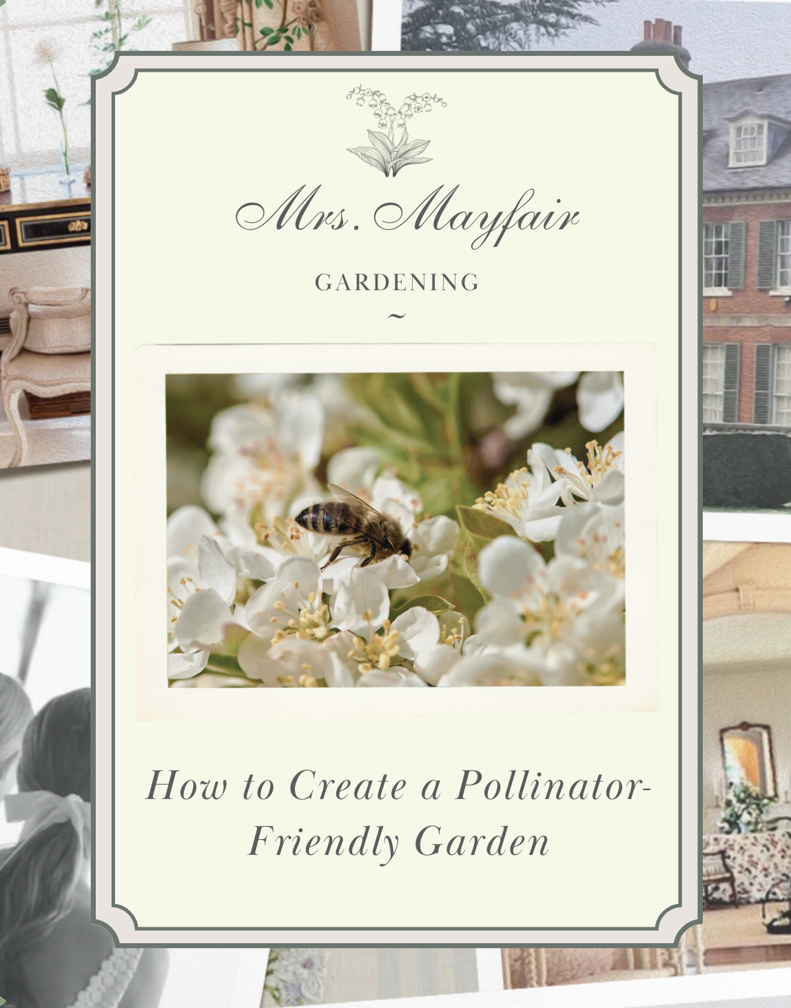 How to Create a Pollinator-Friendly Garden