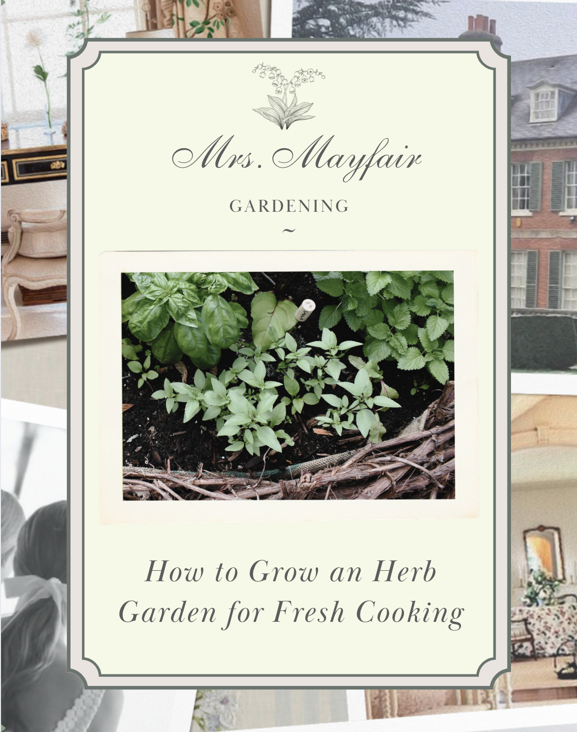 How to Grow an Herb Garden for Fresh Cooking