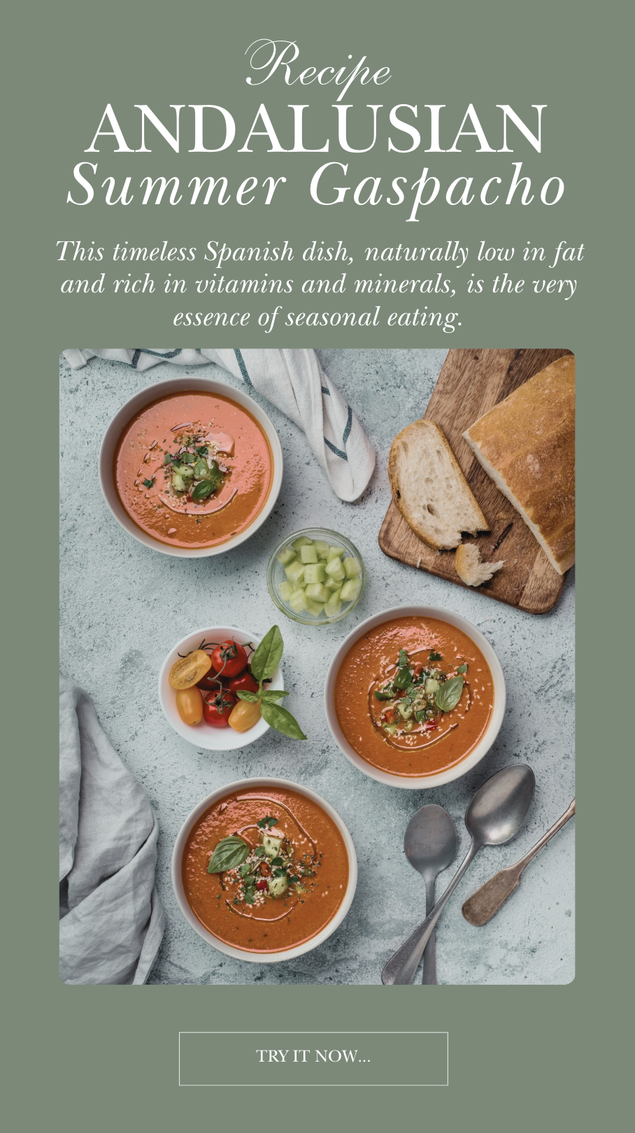 Andalusian Summer Gazpacho – A Chilled Spanish Classic
