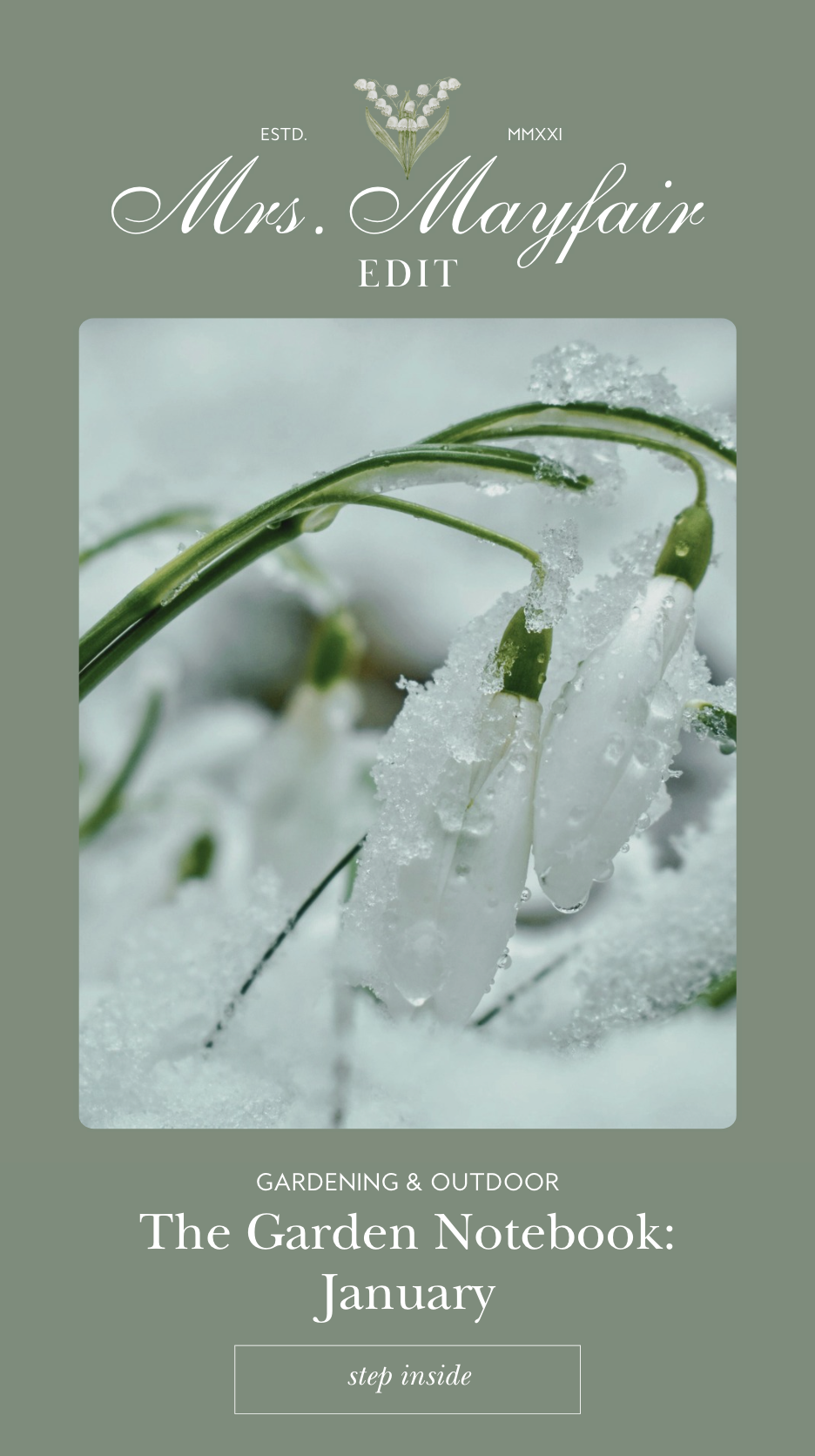 The Garden Notebook: January | What I’m Thinking About Now