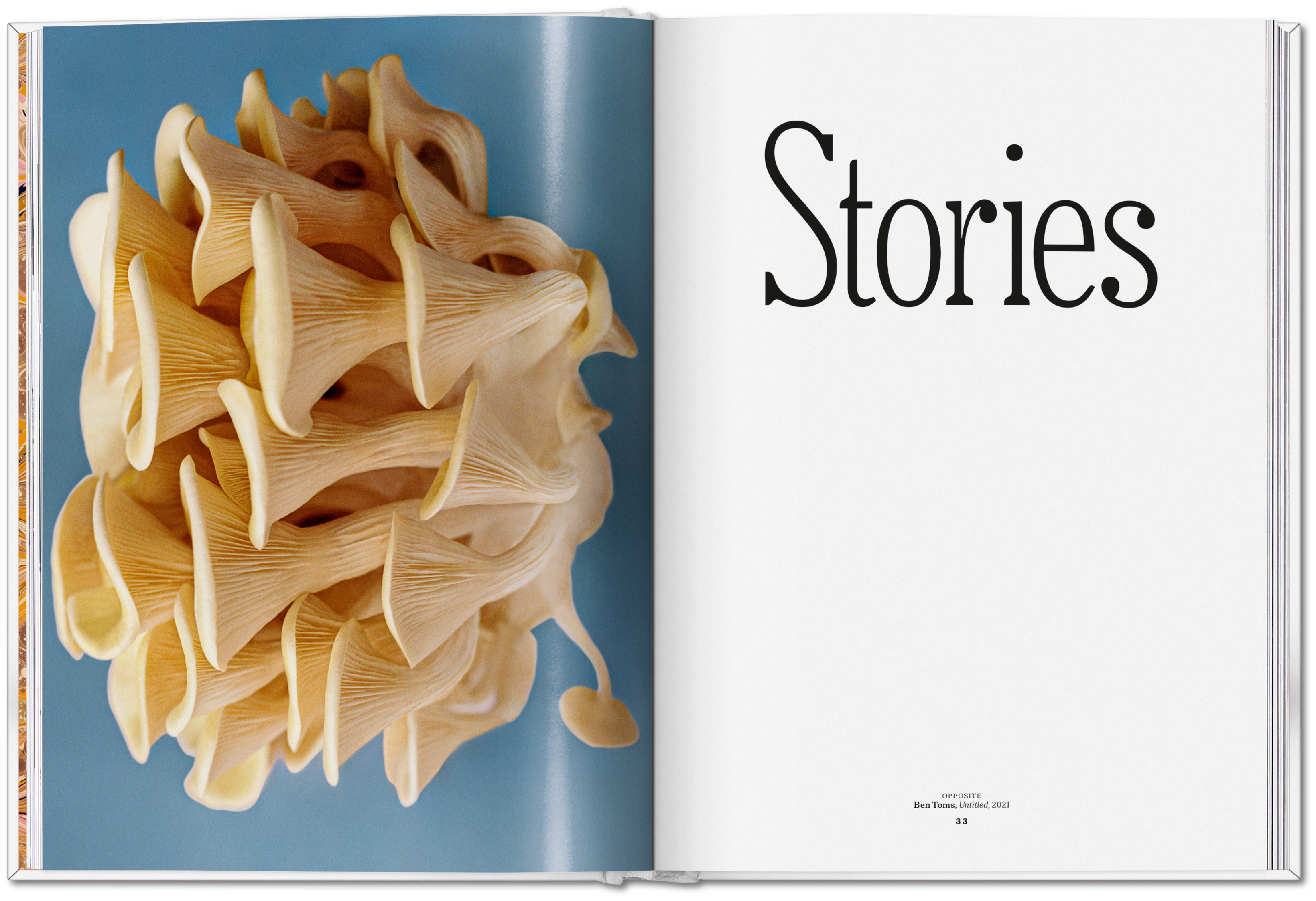 The Gourmand's Mushroom. A Collection of Stories and Recipes (English)