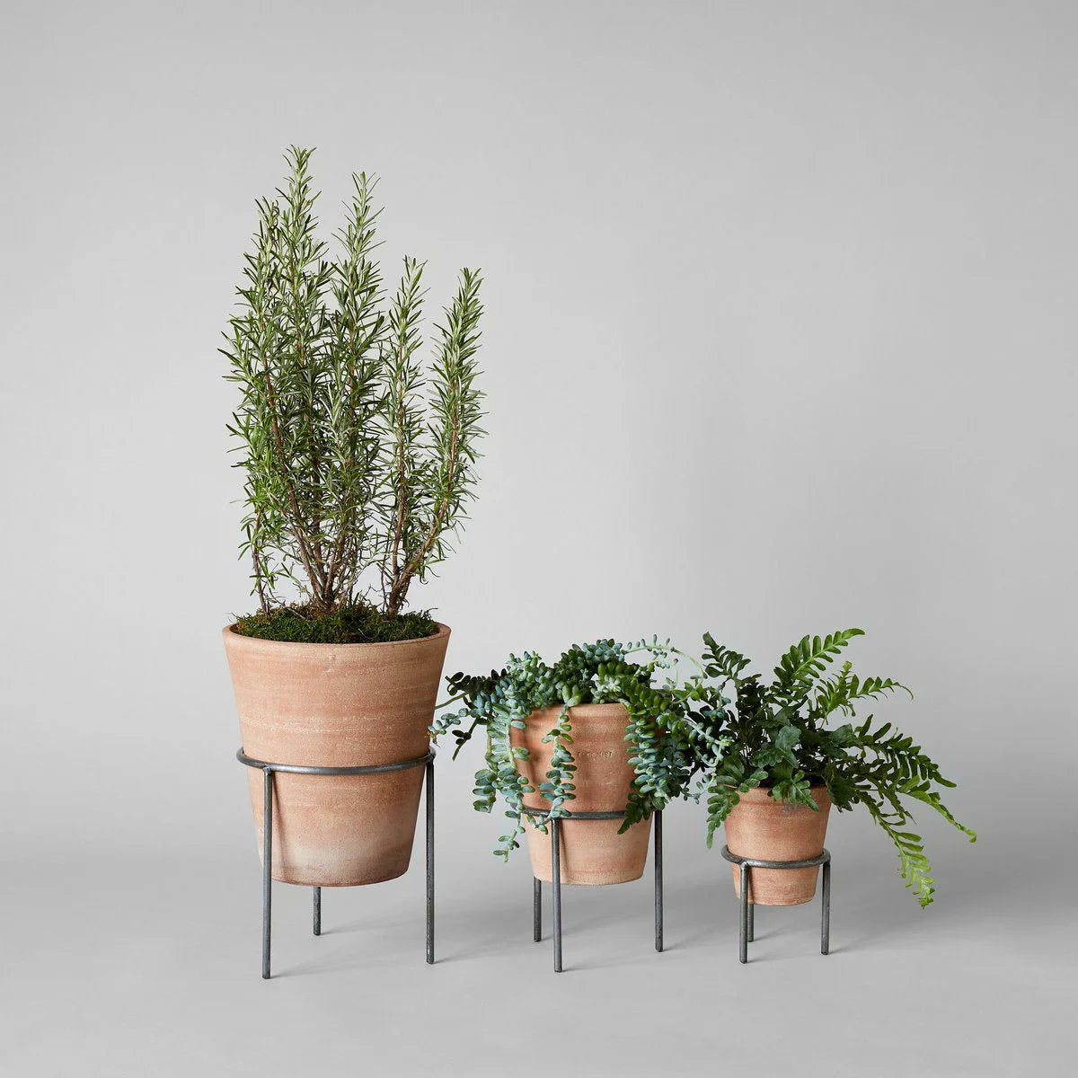 Whitewash Terracotta Studio Planter - The Mayfair Hall