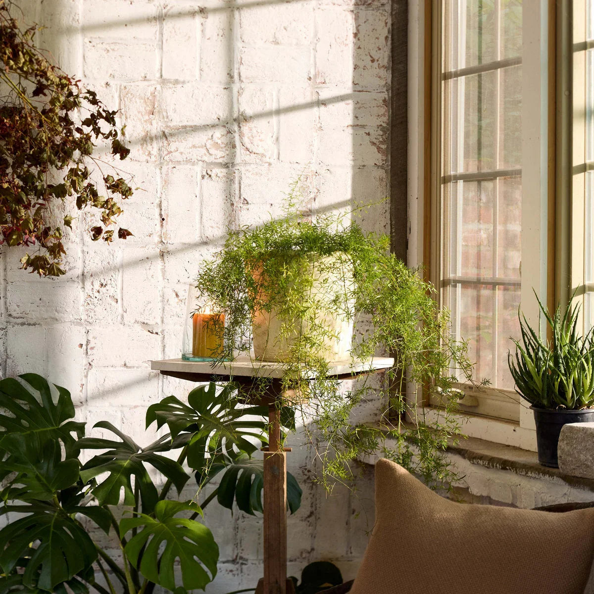 Basic Planter, White Patina - The Mayfair Hall