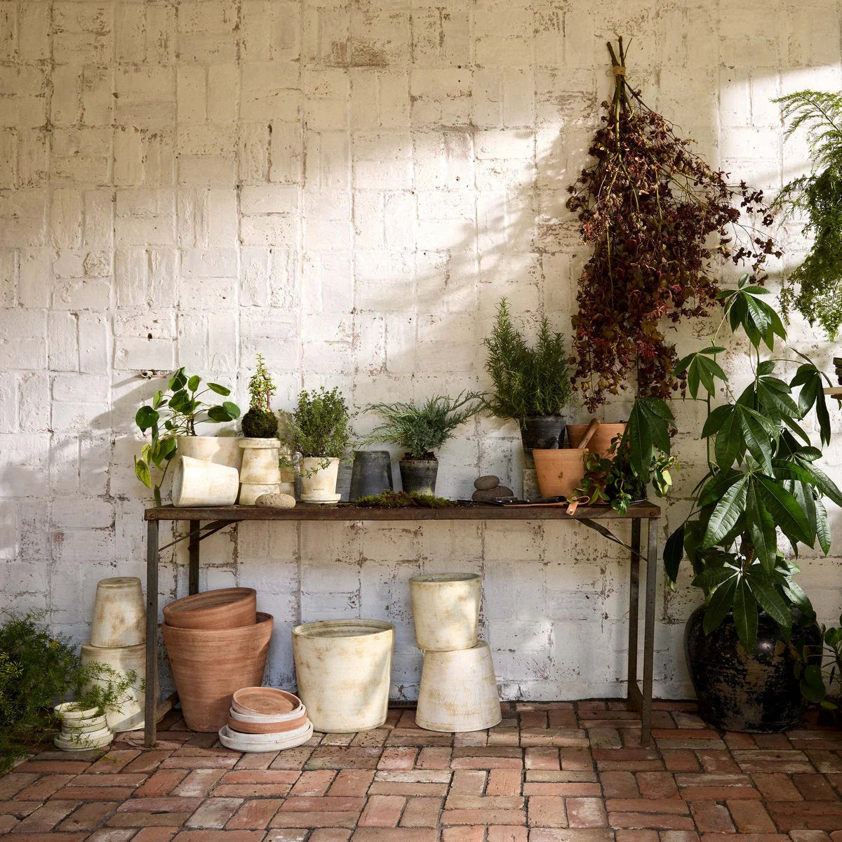 Whitewash Terracotta Studio Planter - The Mayfair Hall