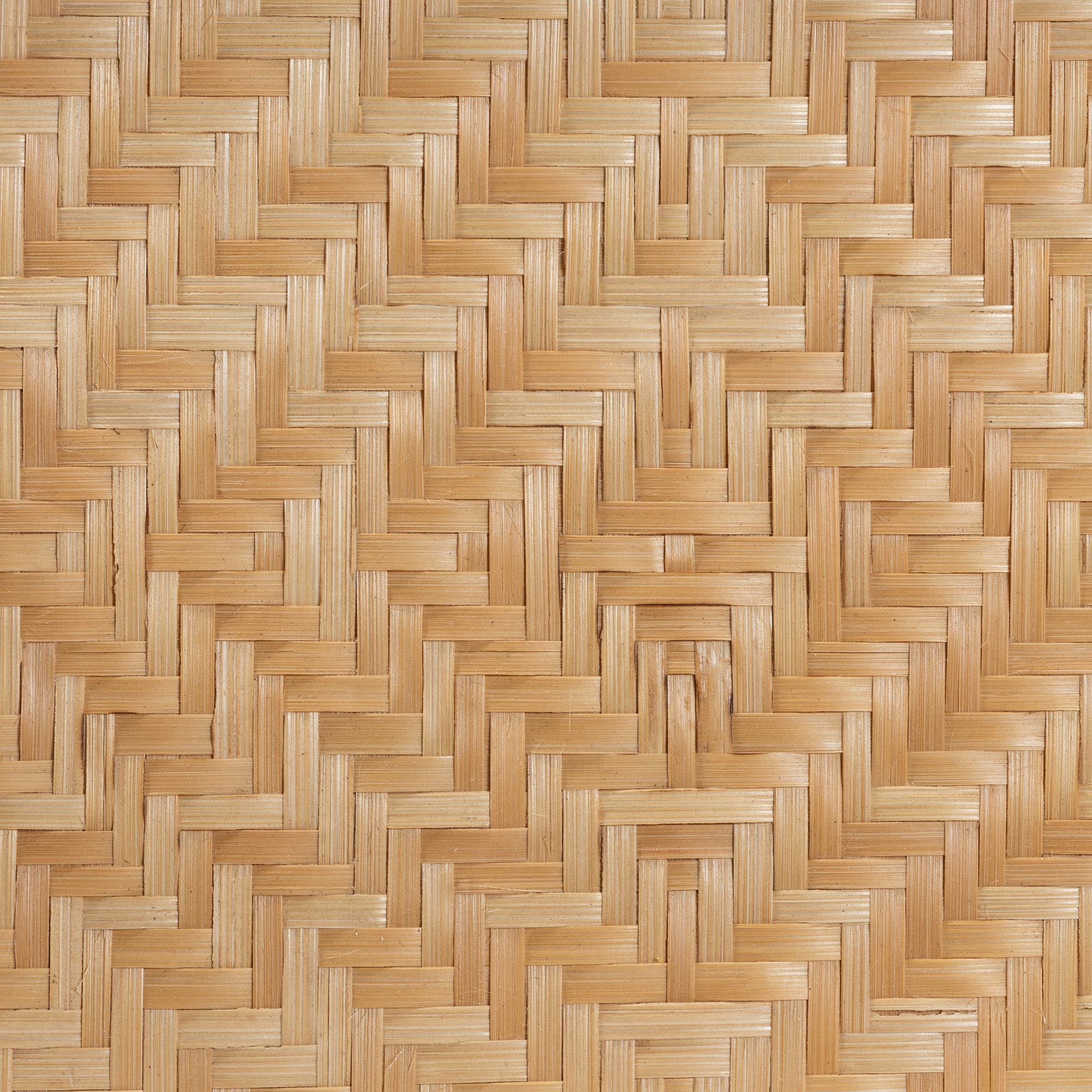 Edita Rattan 1-Drawer Nightstand