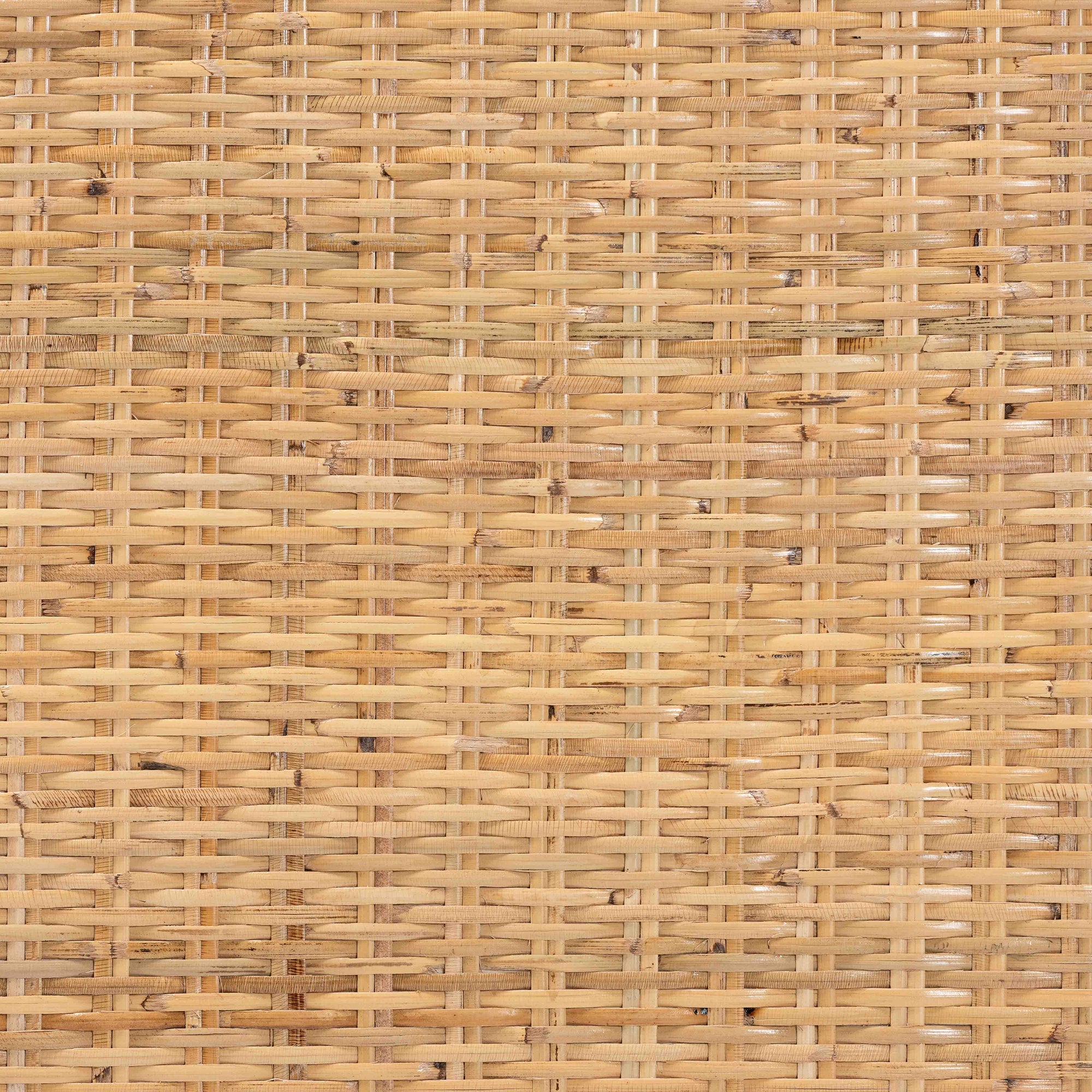 Mauve Rattan and Mahogany Wood Coffee Table