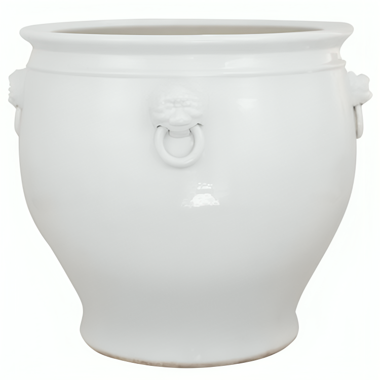 White Fishbowl
