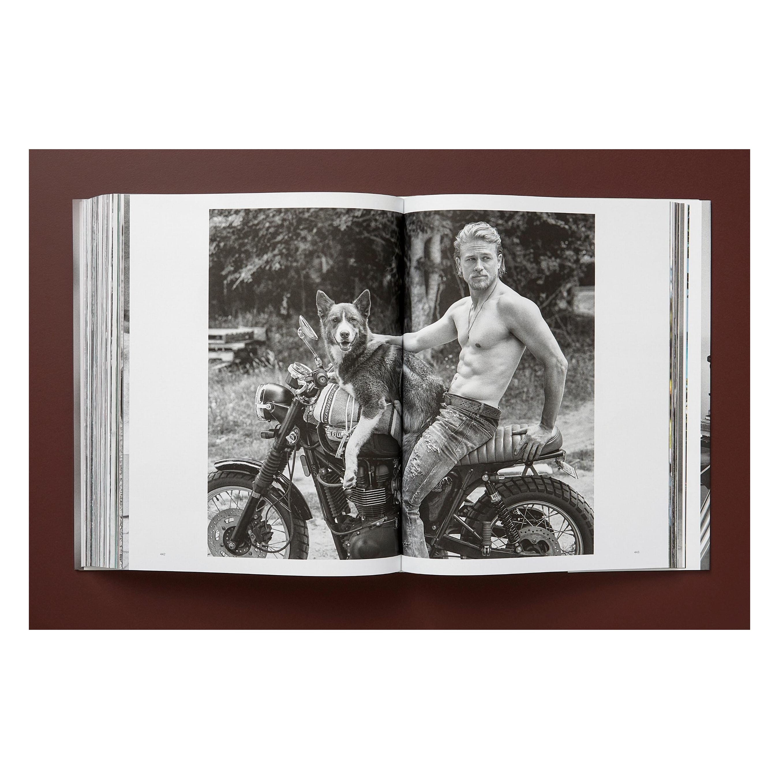 Bruce Weber. The Golden Retriever Photographic Society (German, French, English)