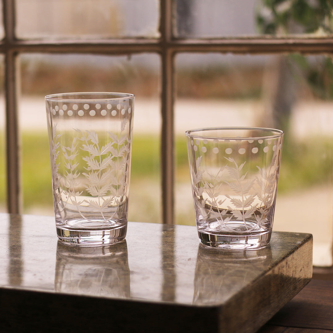 GLASS Fern with Dots Double Old Fashioned Set of 4 (Clear)