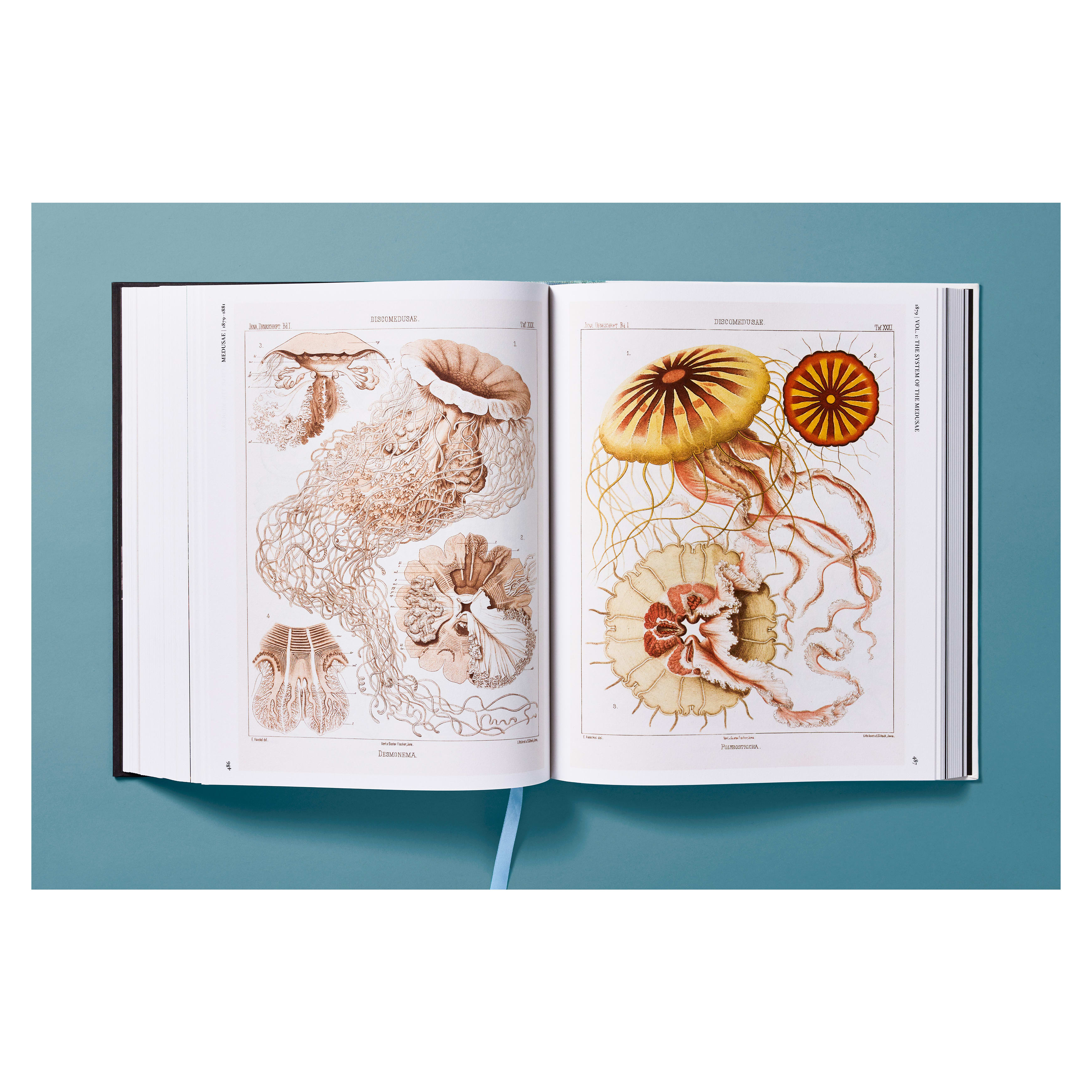 The Art and Science of Ernst Haeckel (German, French, English)