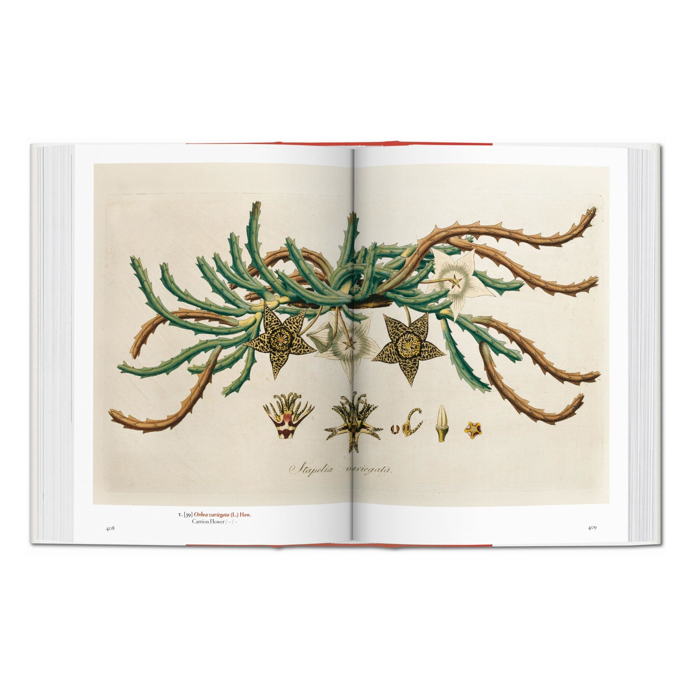 A Garden Eden. Masterpieces of Botanical Illustration. 45th Ed. (German, French, English)