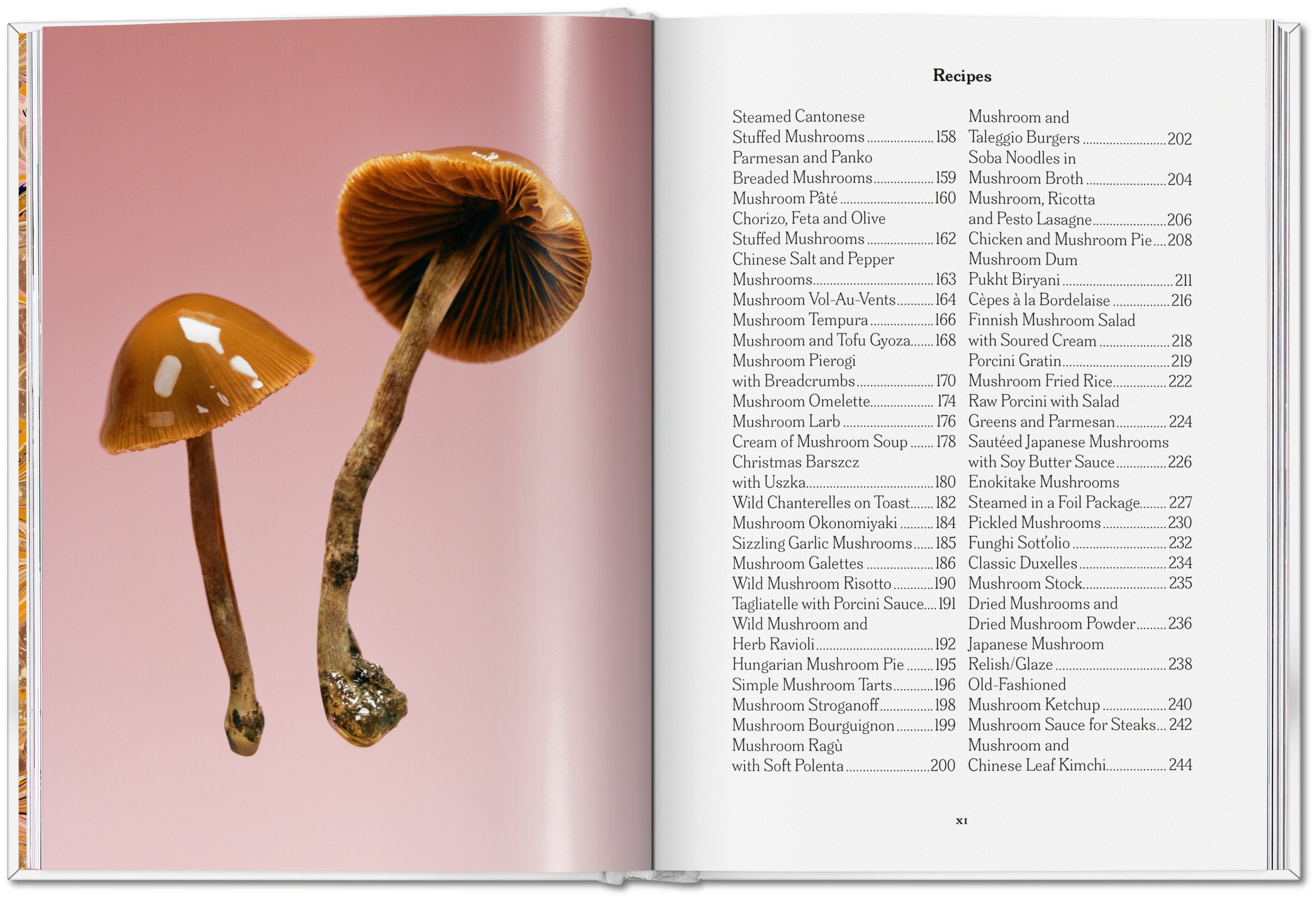 The Gourmand's Mushroom. A Collection of Stories and Recipes (English)