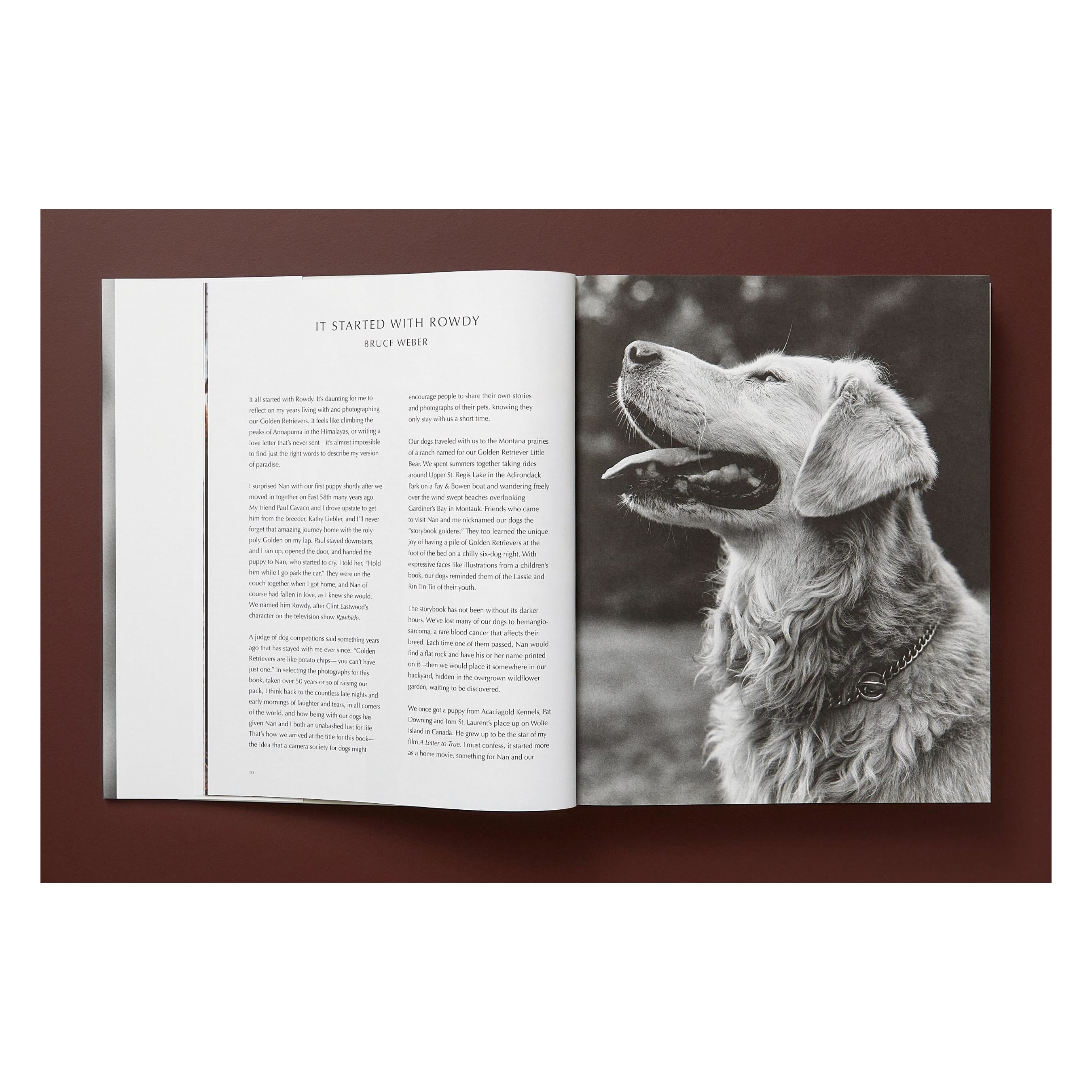 Bruce Weber. The Golden Retriever Photographic Society (German, French, English)
