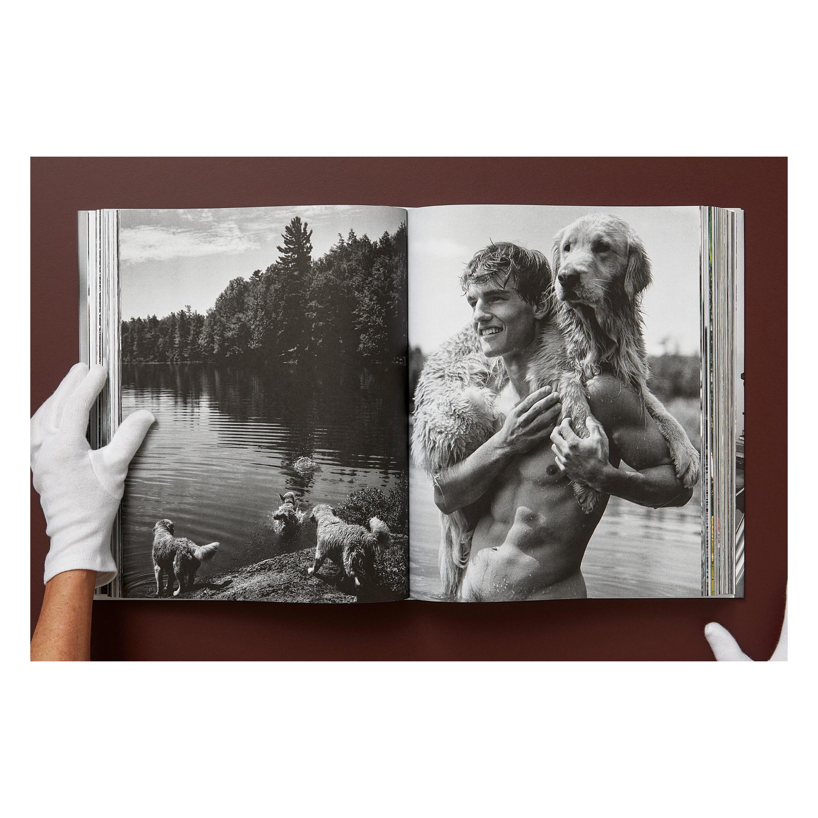 Bruce Weber. The Golden Retriever Photographic Society (German, French, English)