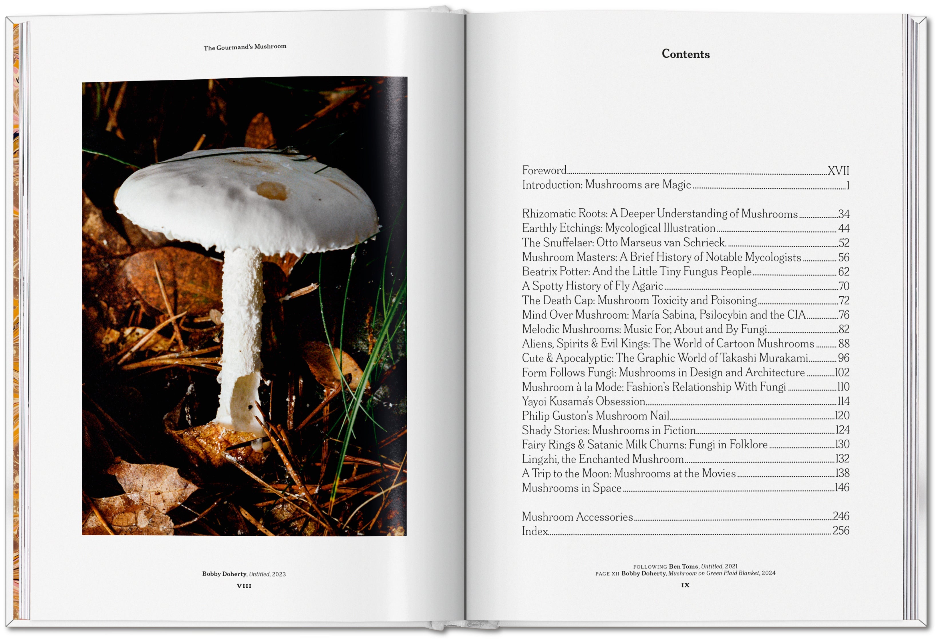 The Gourmand's Mushroom. A Collection of Stories and Recipes (English)