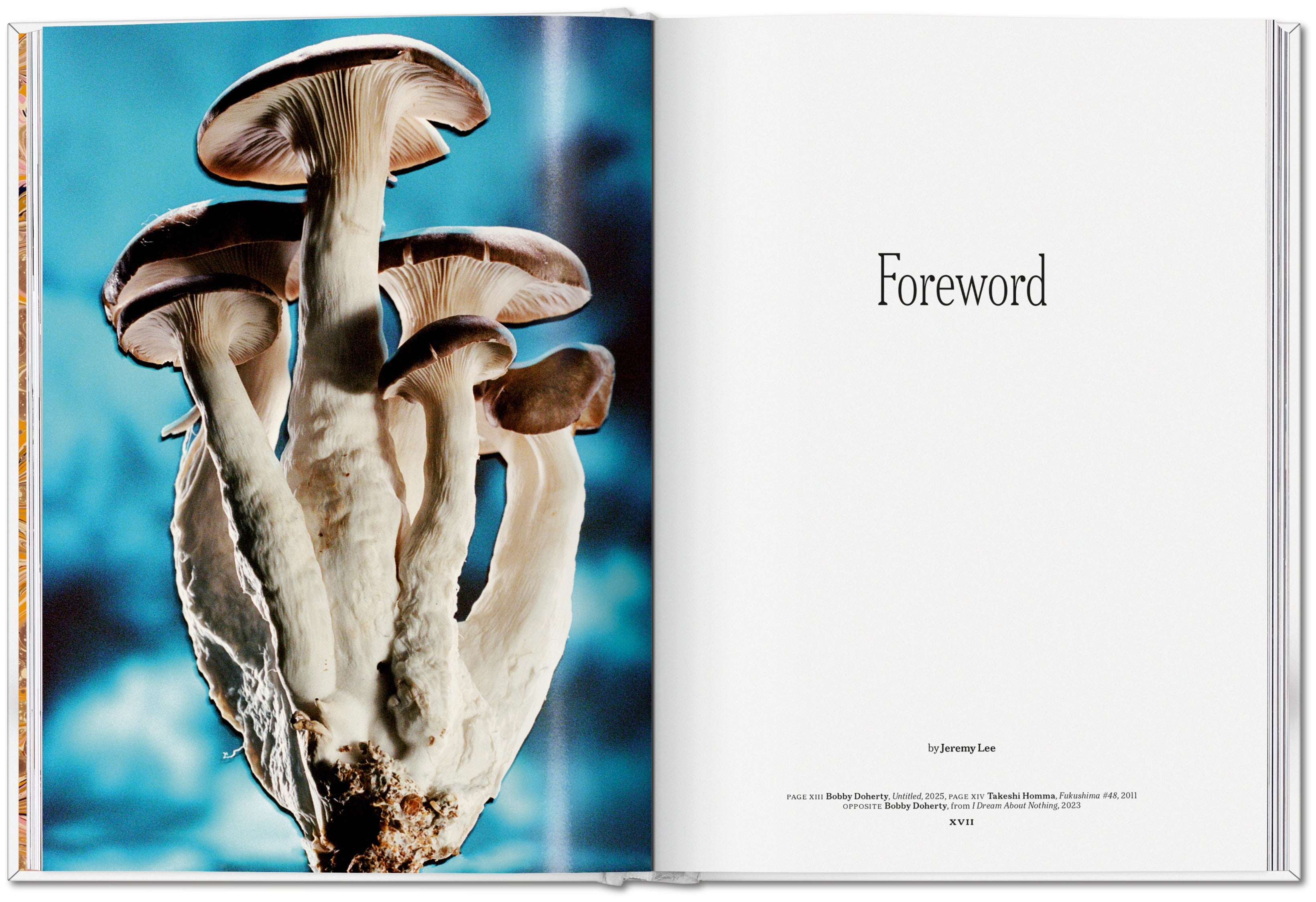The Gourmand's Mushroom. A Collection of Stories and Recipes (English)