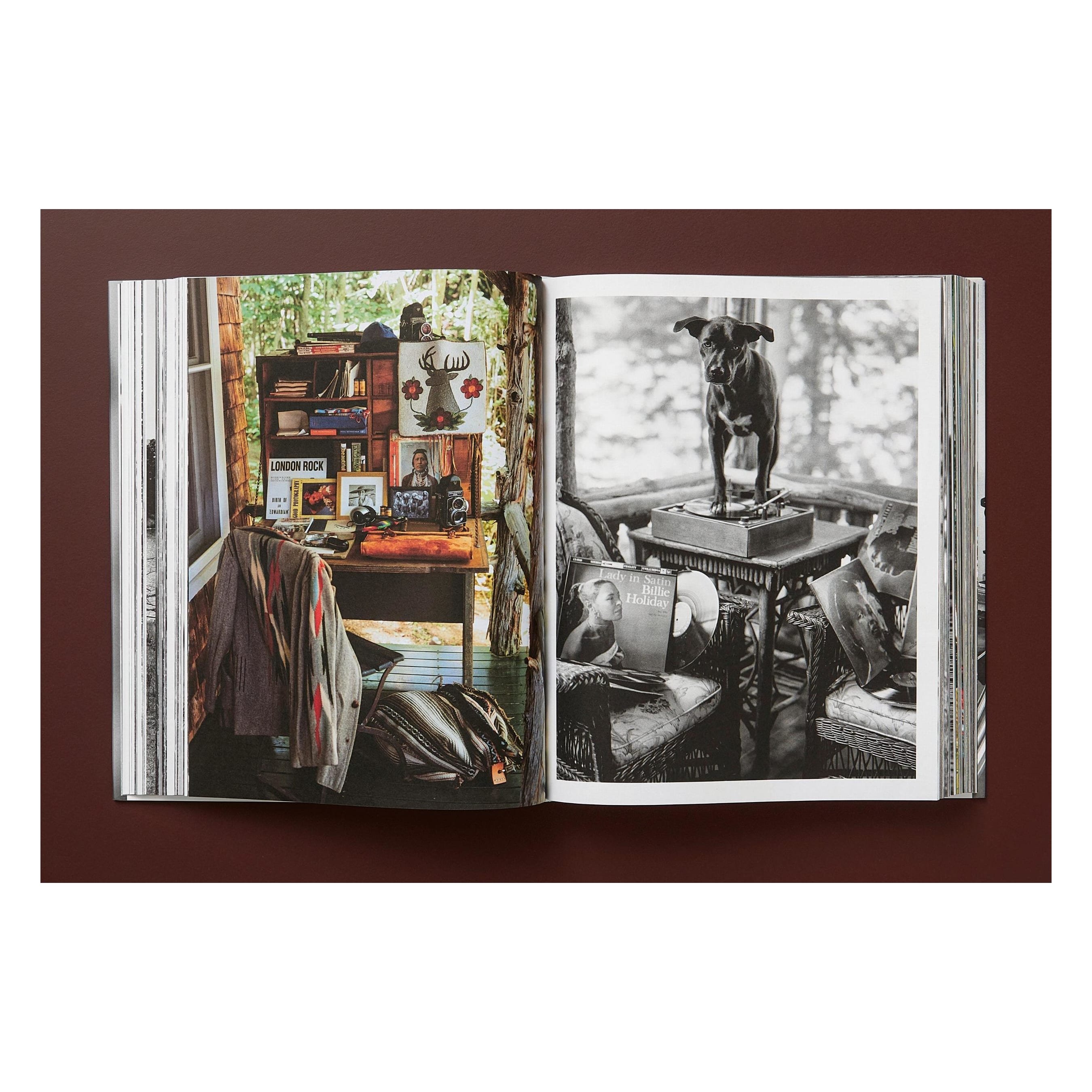 Bruce Weber. The Golden Retriever Photographic Society (German, French, English)