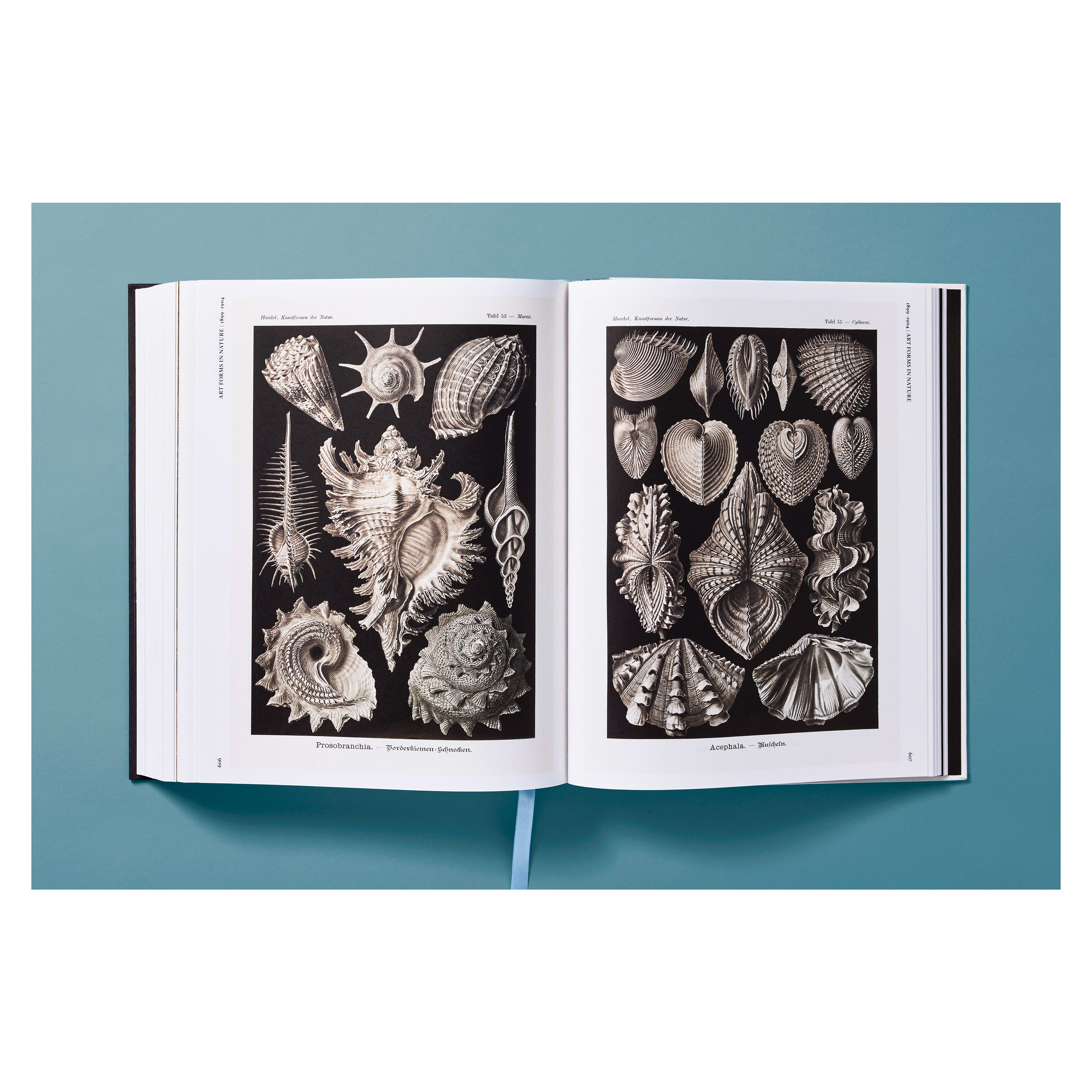 The Art and Science of Ernst Haeckel (German, French, English)