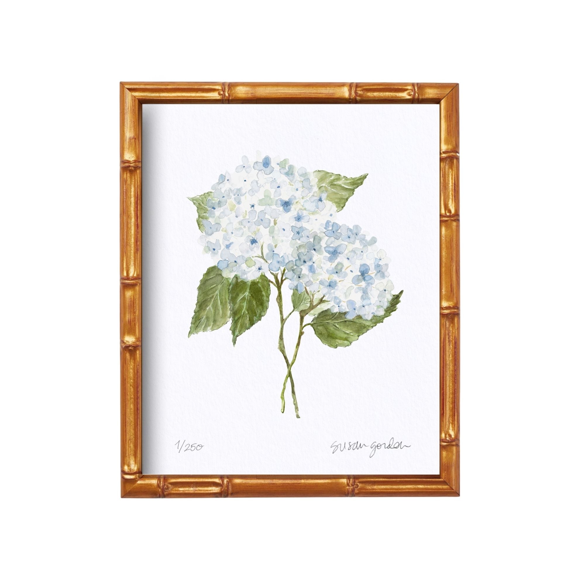 8x10 Hydrangea Print No. 3 By Susan Gordon