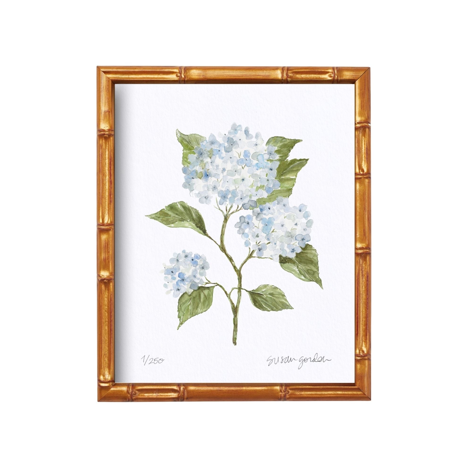 8x10 Hydrangea Print No. 4 By Susan Gordon