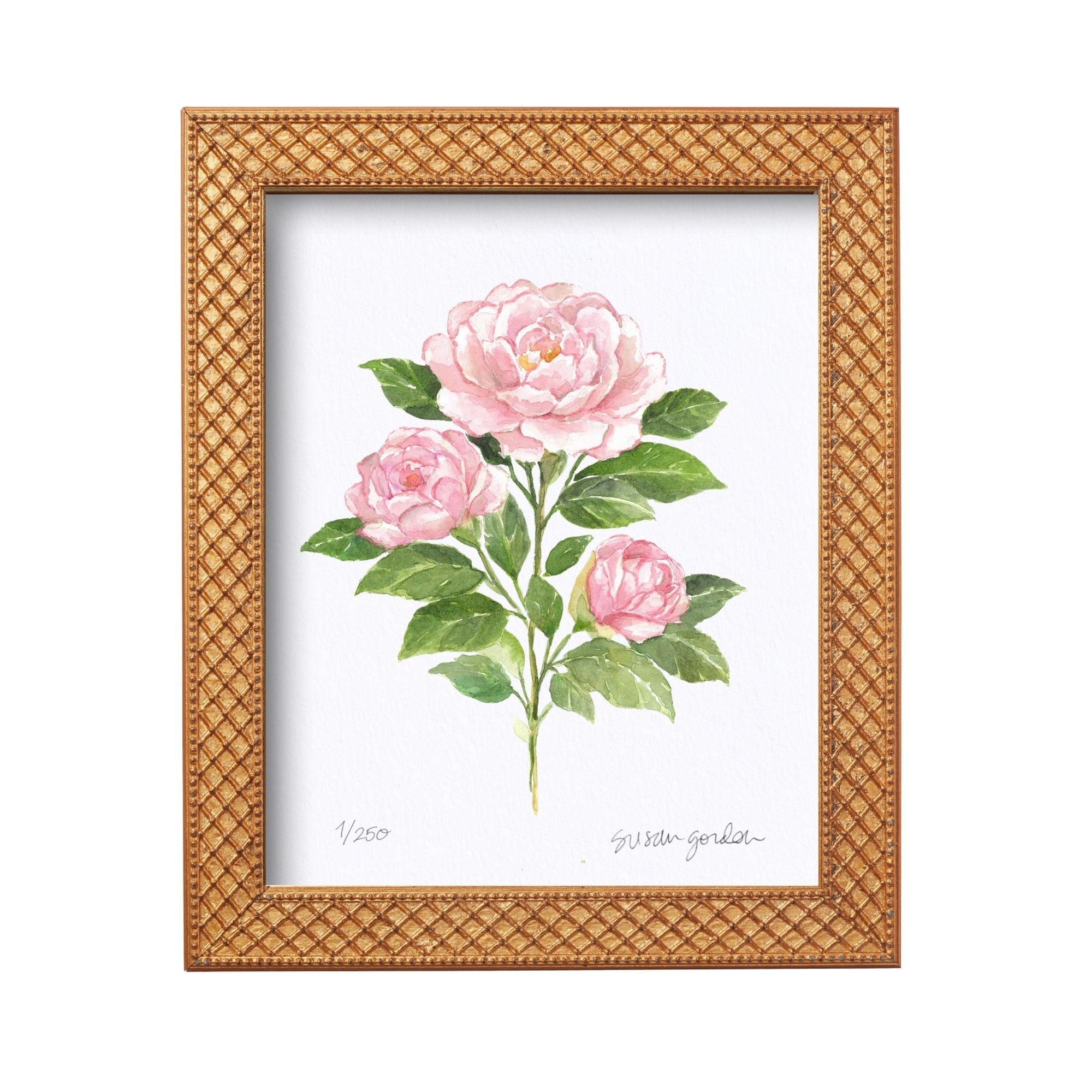 8x10 Framed Camellia Archival Prints By Susan Gordon