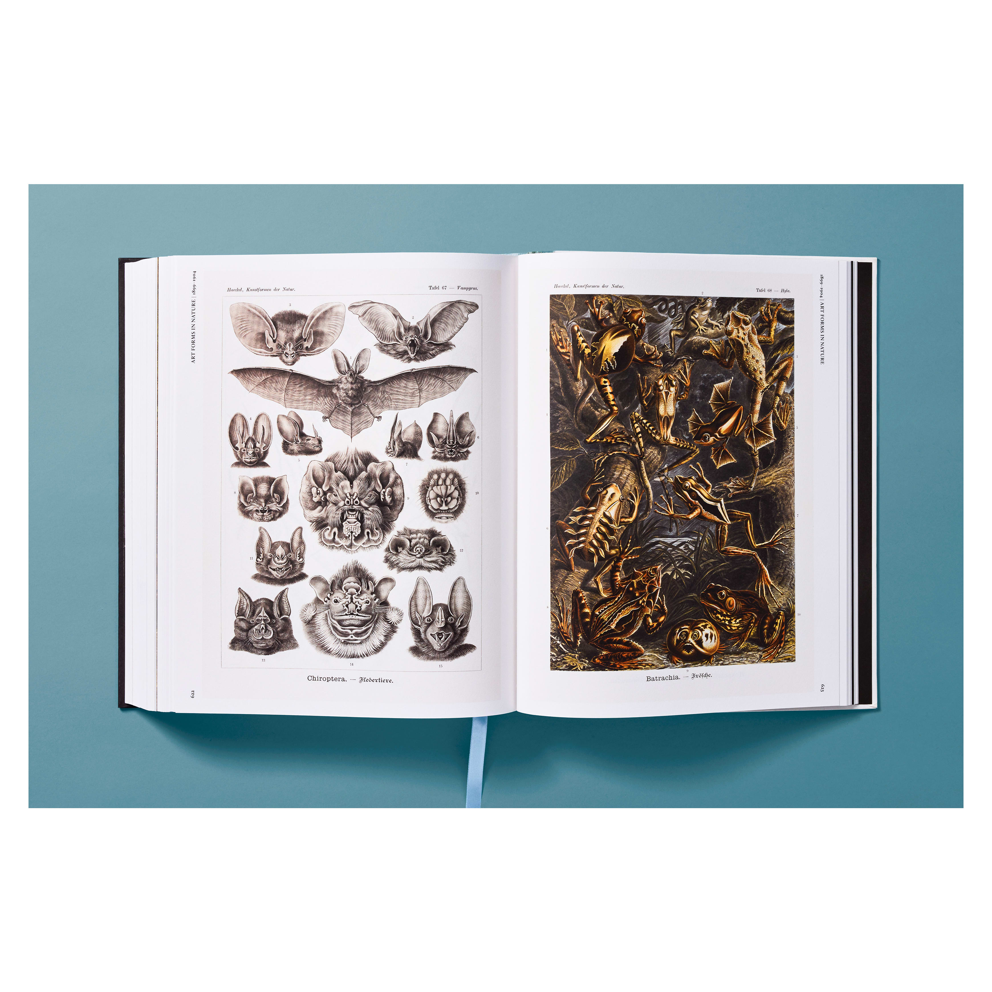 The Art and Science of Ernst Haeckel (German, French, English)