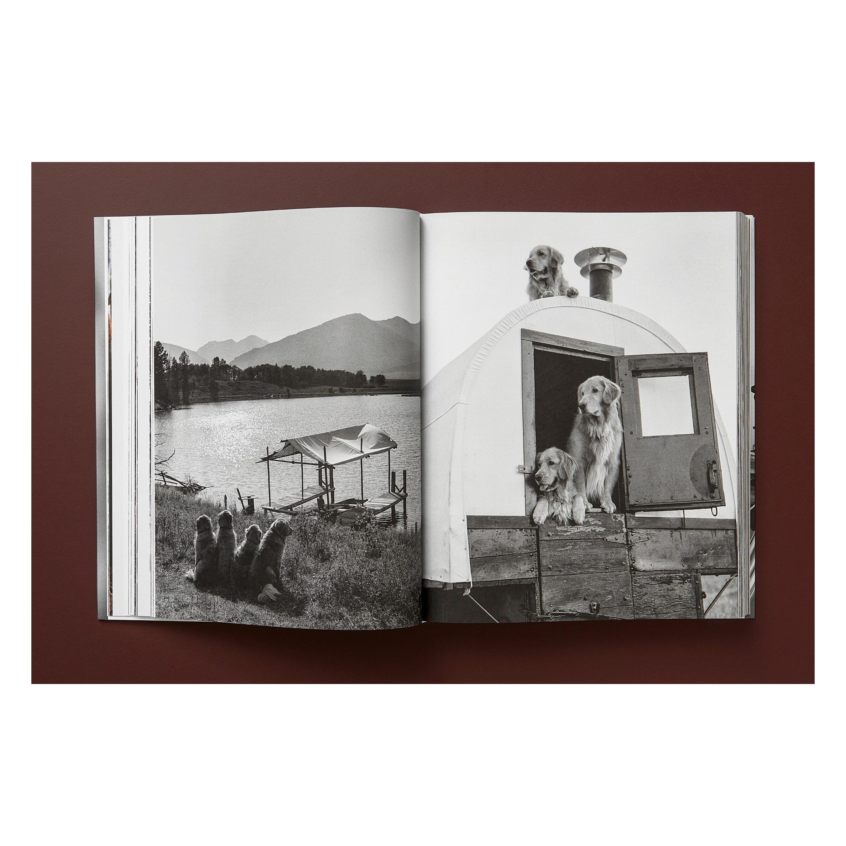 Bruce Weber. The Golden Retriever Photographic Society (German, French, English)