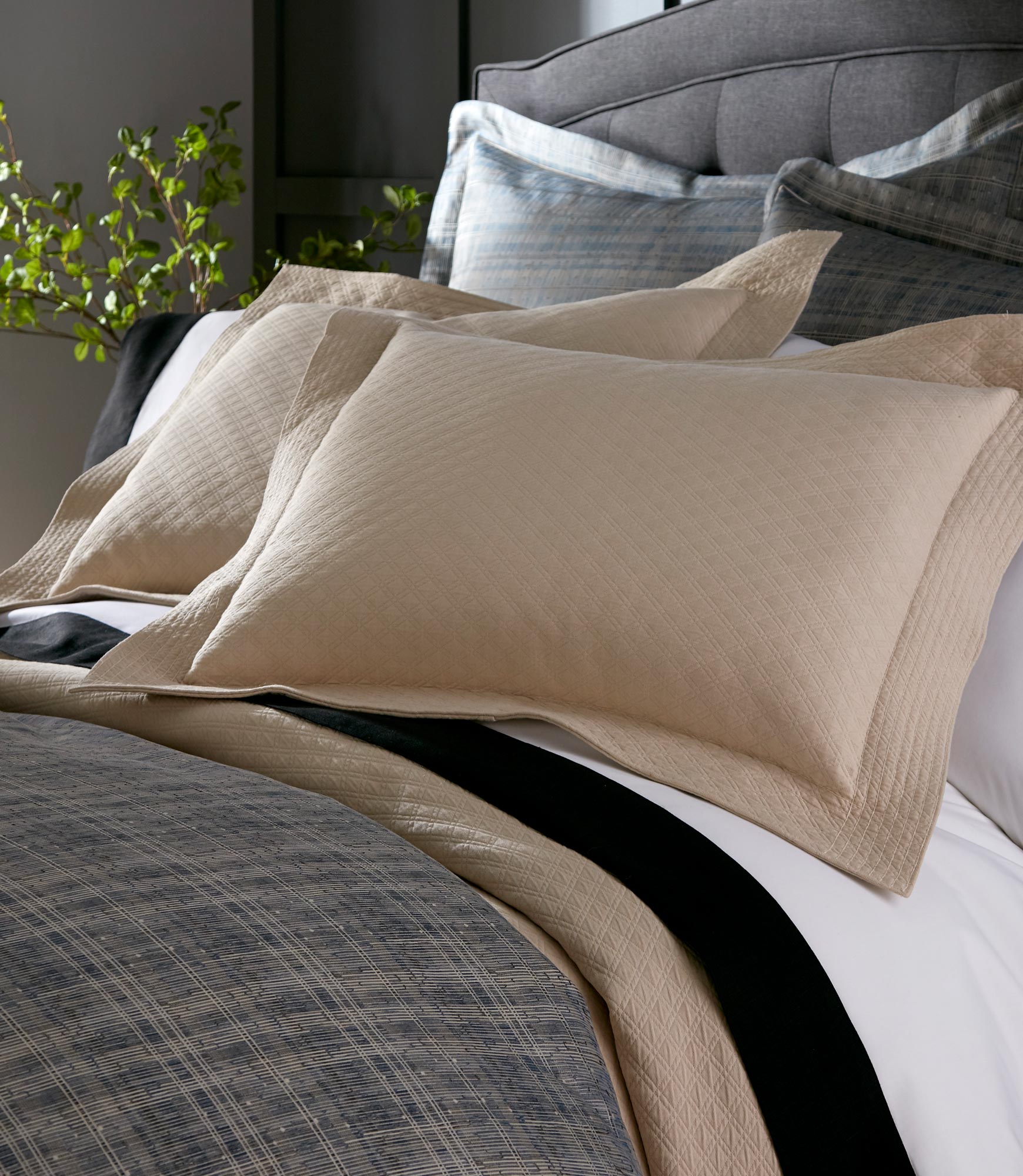 Alyssa Matelassé Sham