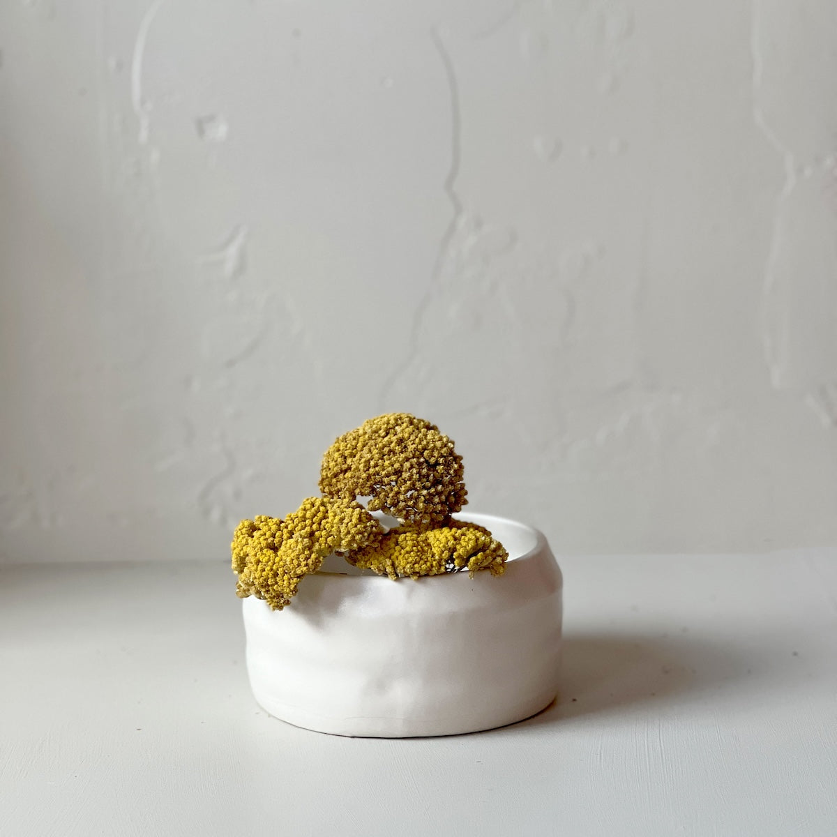 Dried Natural Yarrow