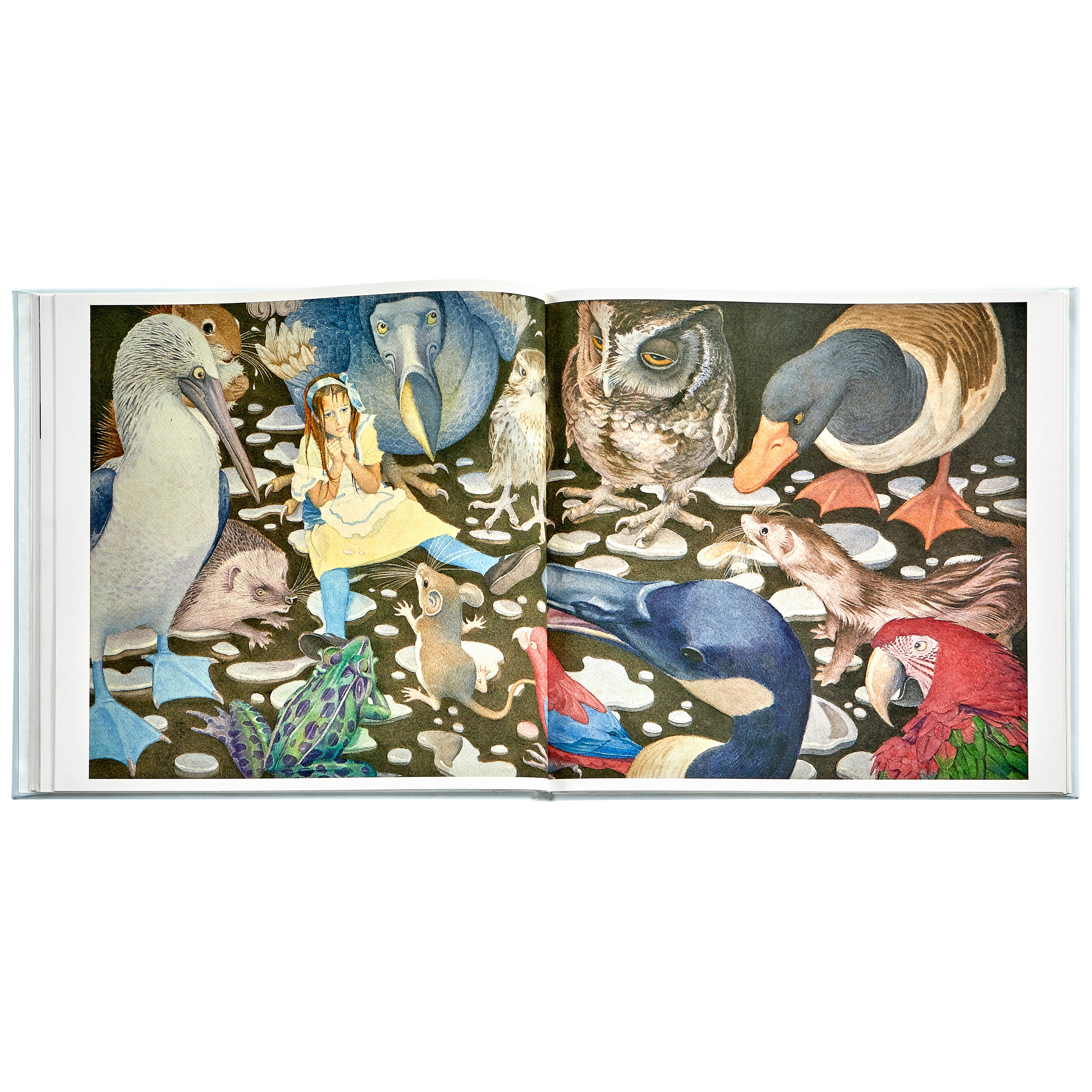 Alice's Adventures in Wonderland