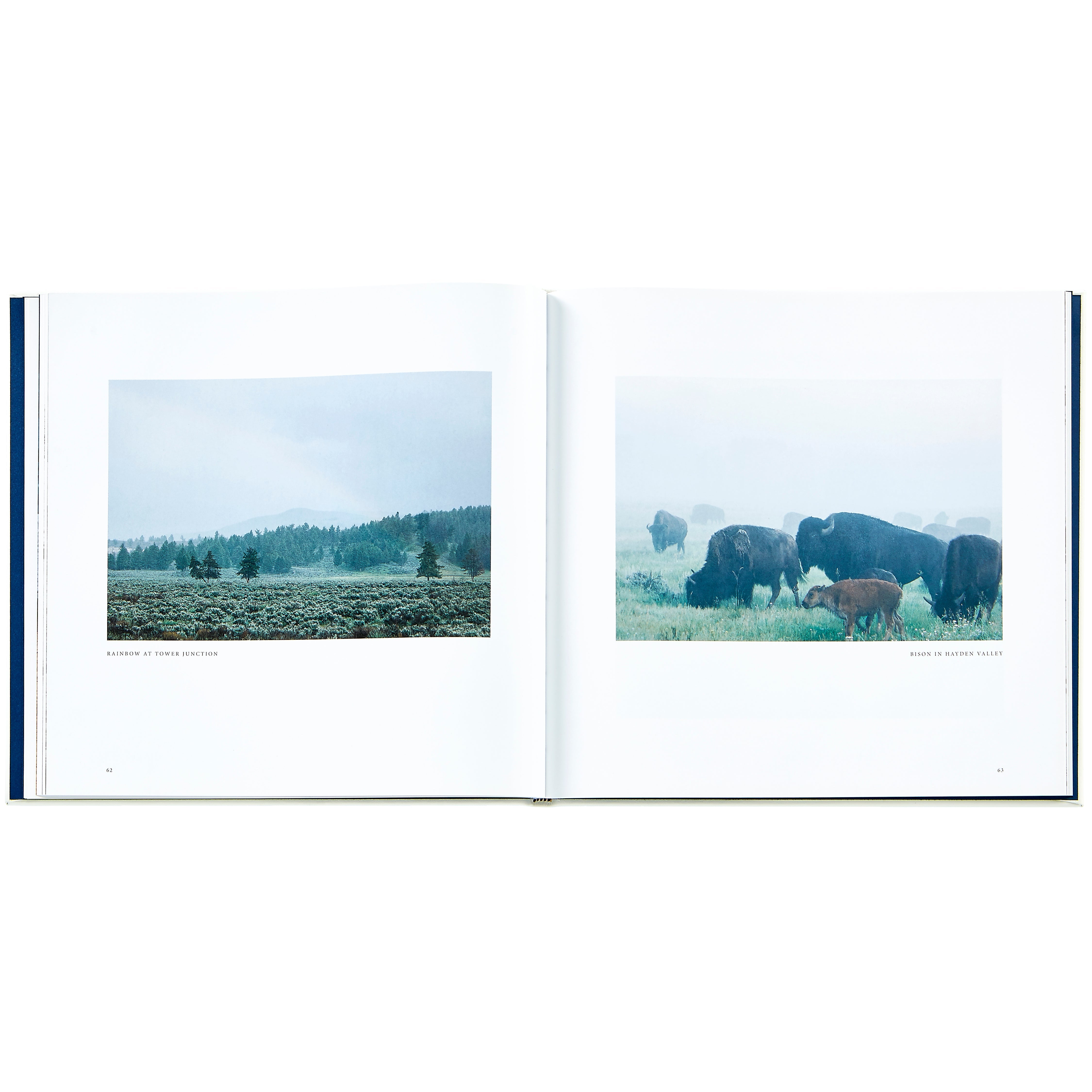 Yellowstone: A Land of Wild and Wonder