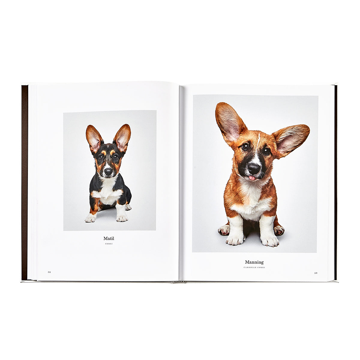 Good Dog: A Selection of Portraits by Randal Ford