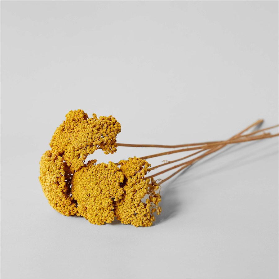 Dried Natural Yarrow