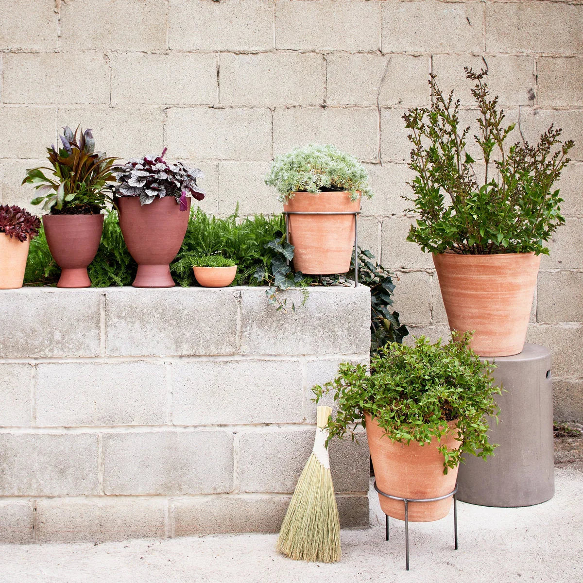 Whitewash Terracotta Studio Planter - The Mayfair Hall