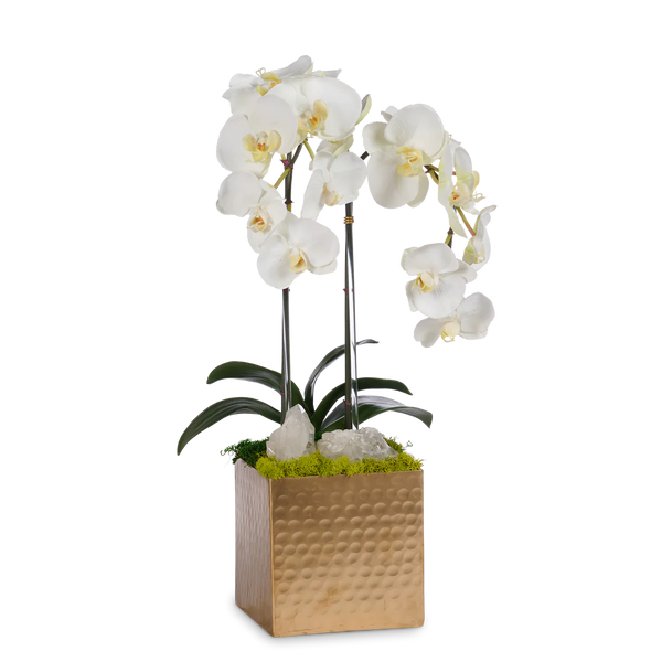 Double White Orchids in Gold Hammered Metal Square Container with Quartz - The Mayfair Hall