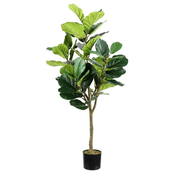 Faux Multi Branch Fiddle Leaf Fig 72" Potted Tree - The Mayfair Hall
