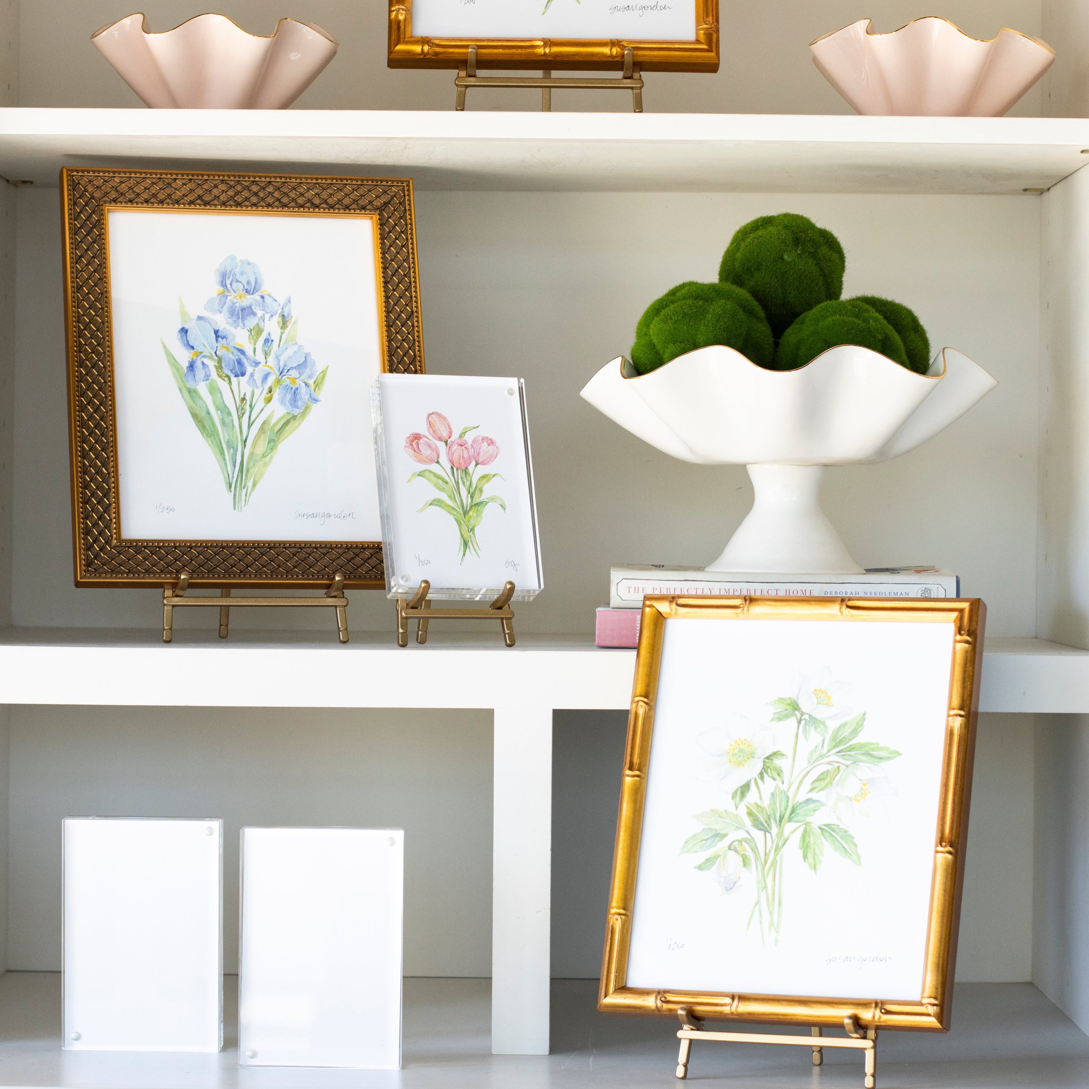 8x10 Dwarf Bearded Iris Prints By Susan Gordon