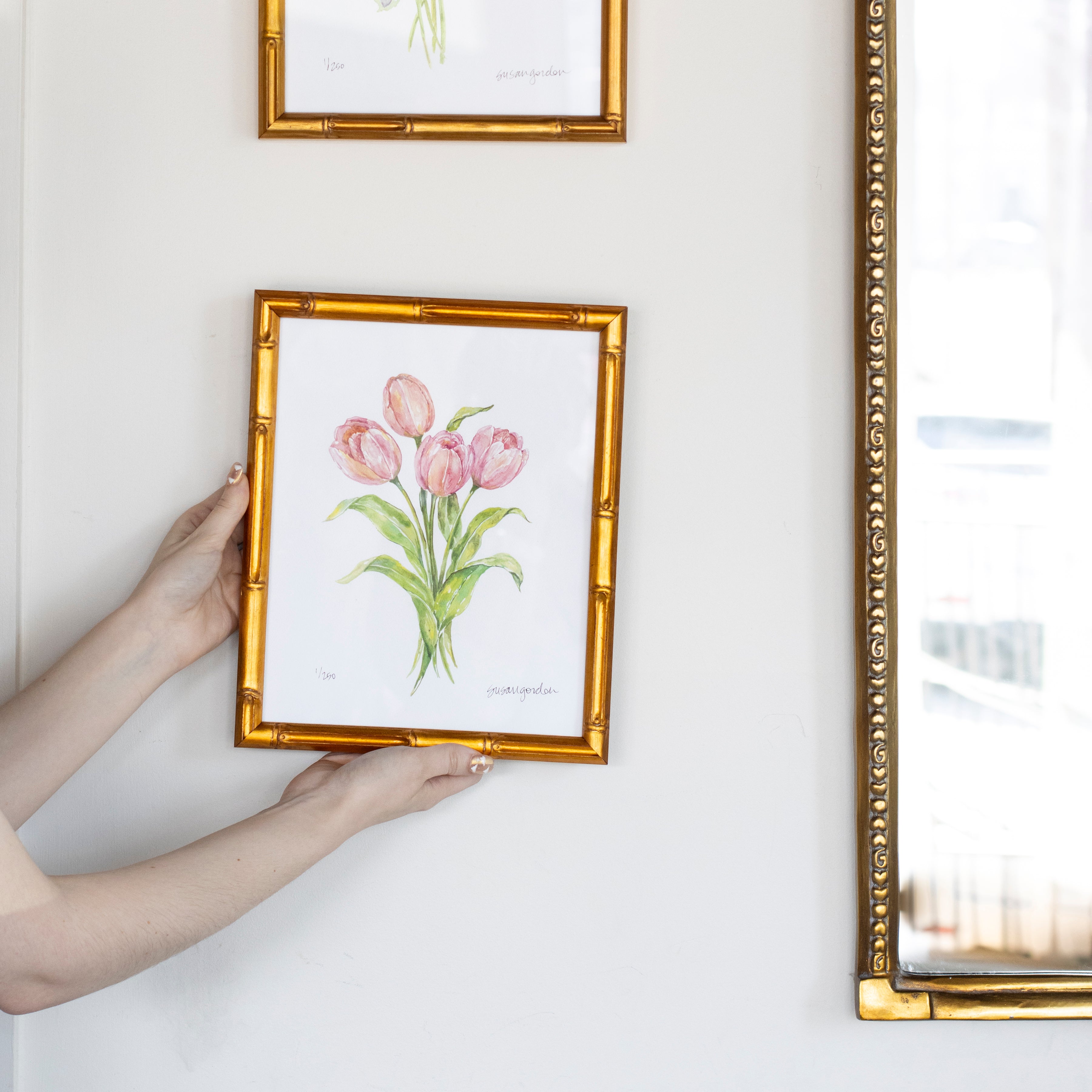 8x10 Tulip Prints By Susan Gordon